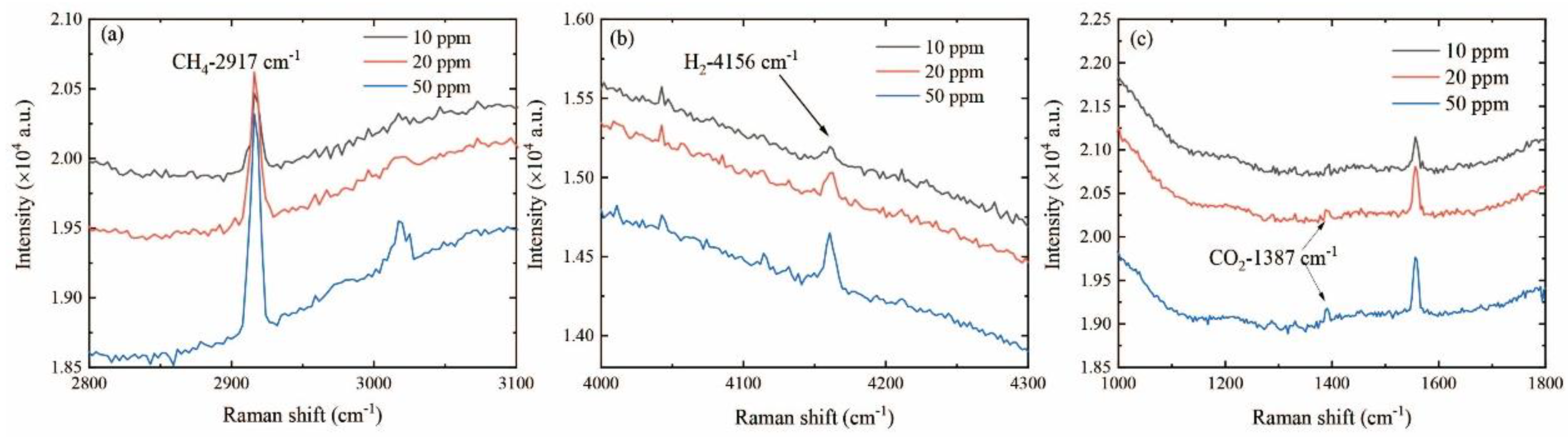 Sensors 24 05825 g004