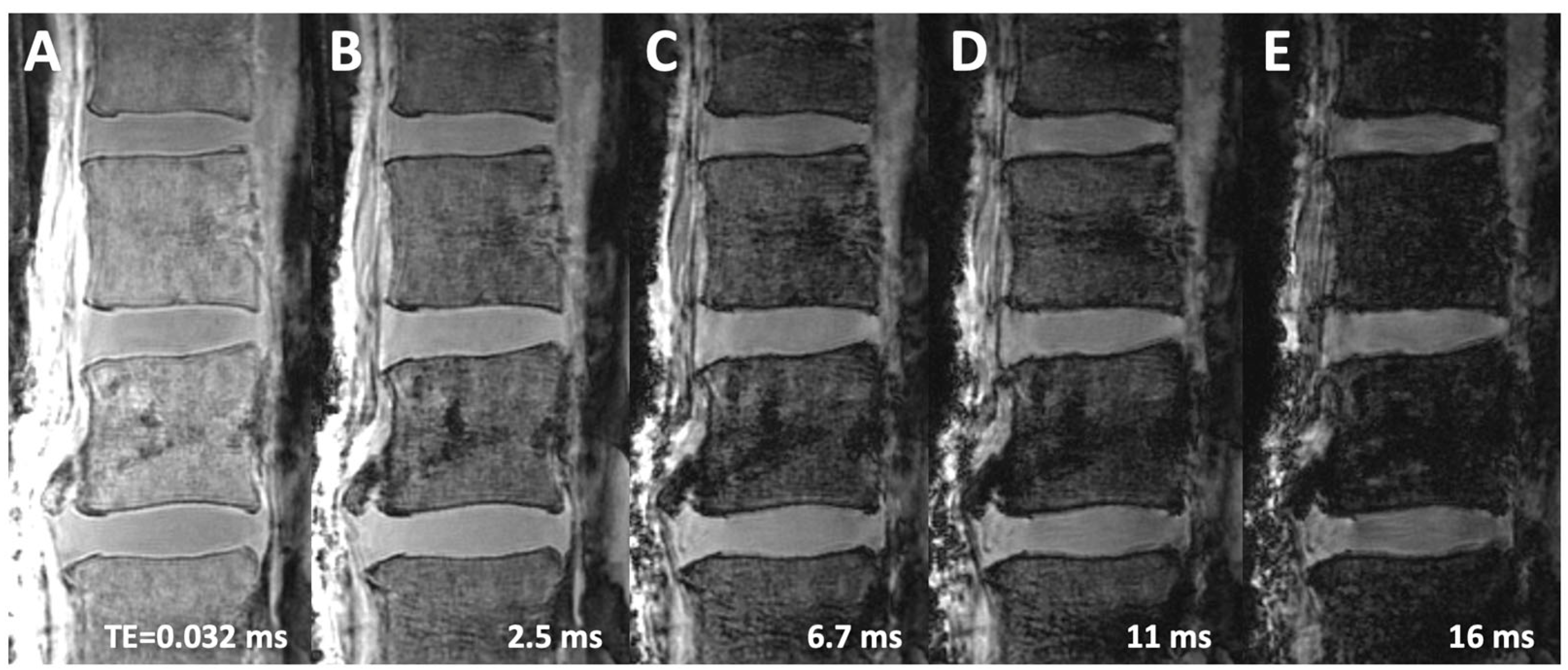 Sensors 24 05842 g002