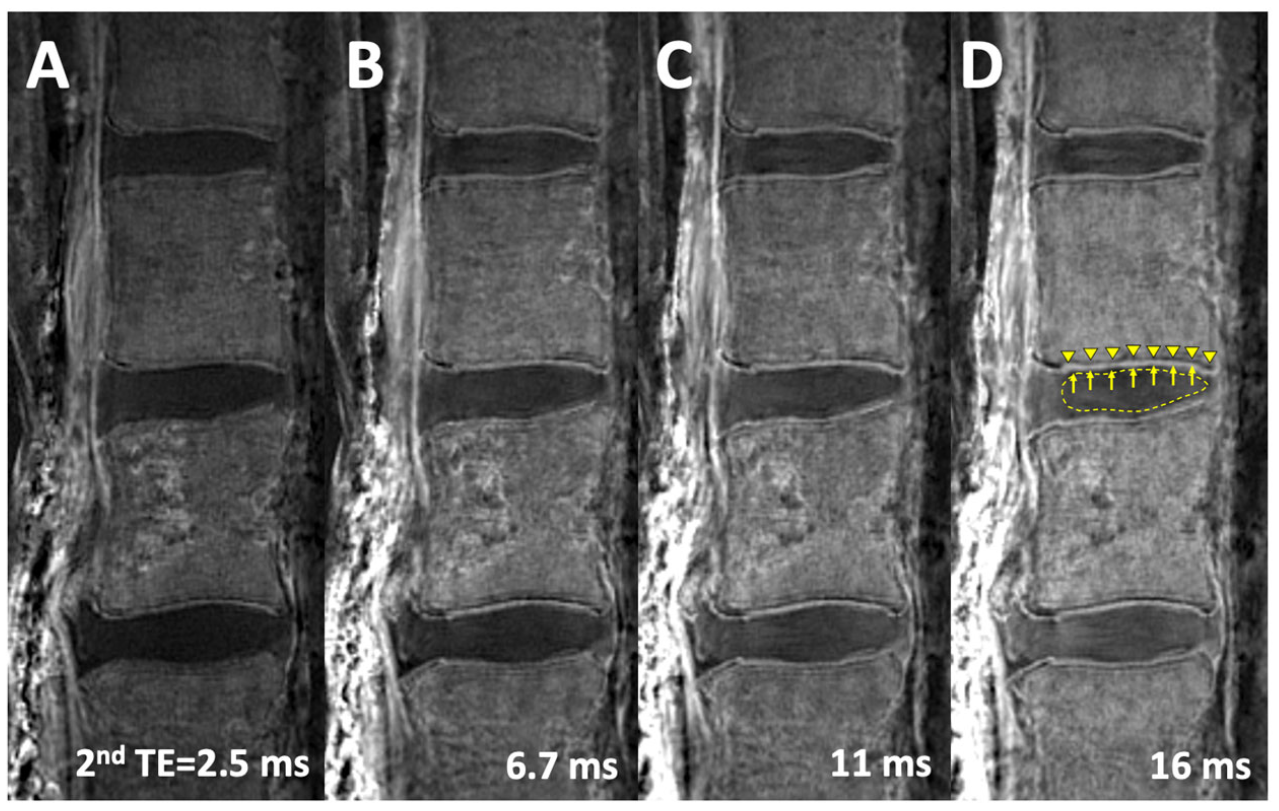Sensors 24 05842 g003