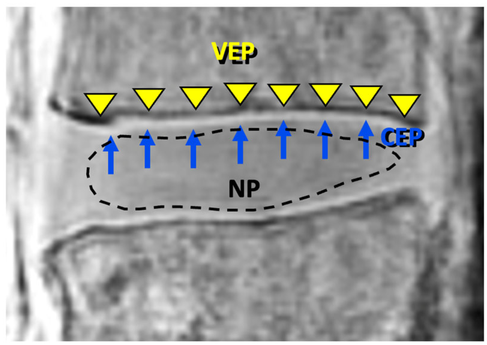 Sensors 24 05842 g004