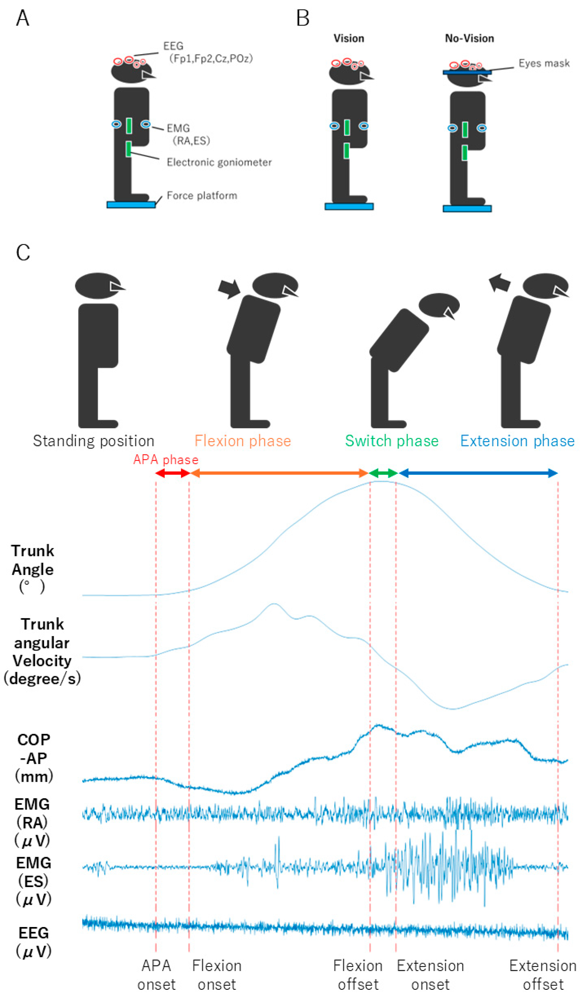 Sensors 24 05849 g001