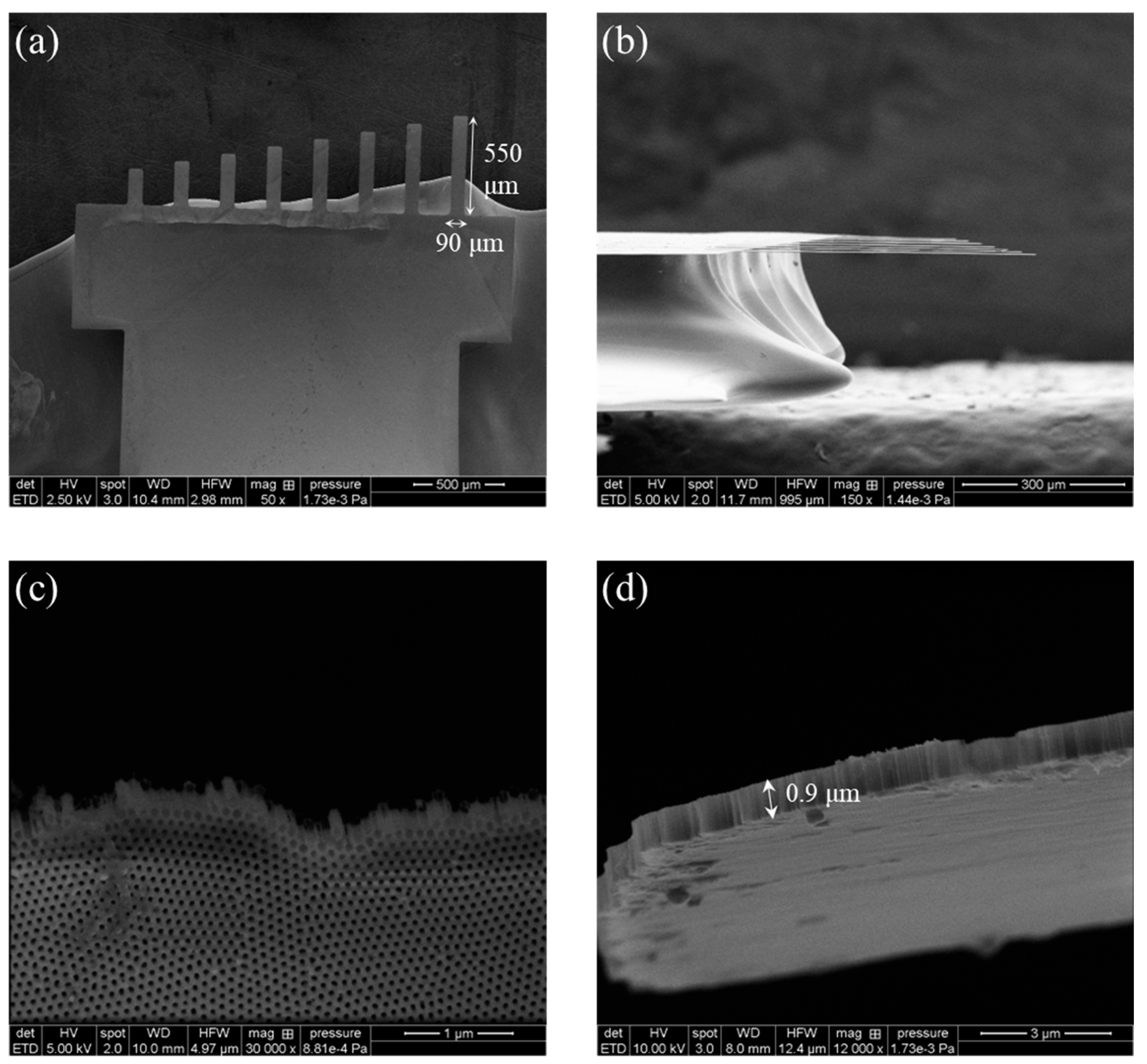Sensors 24 05867 g003