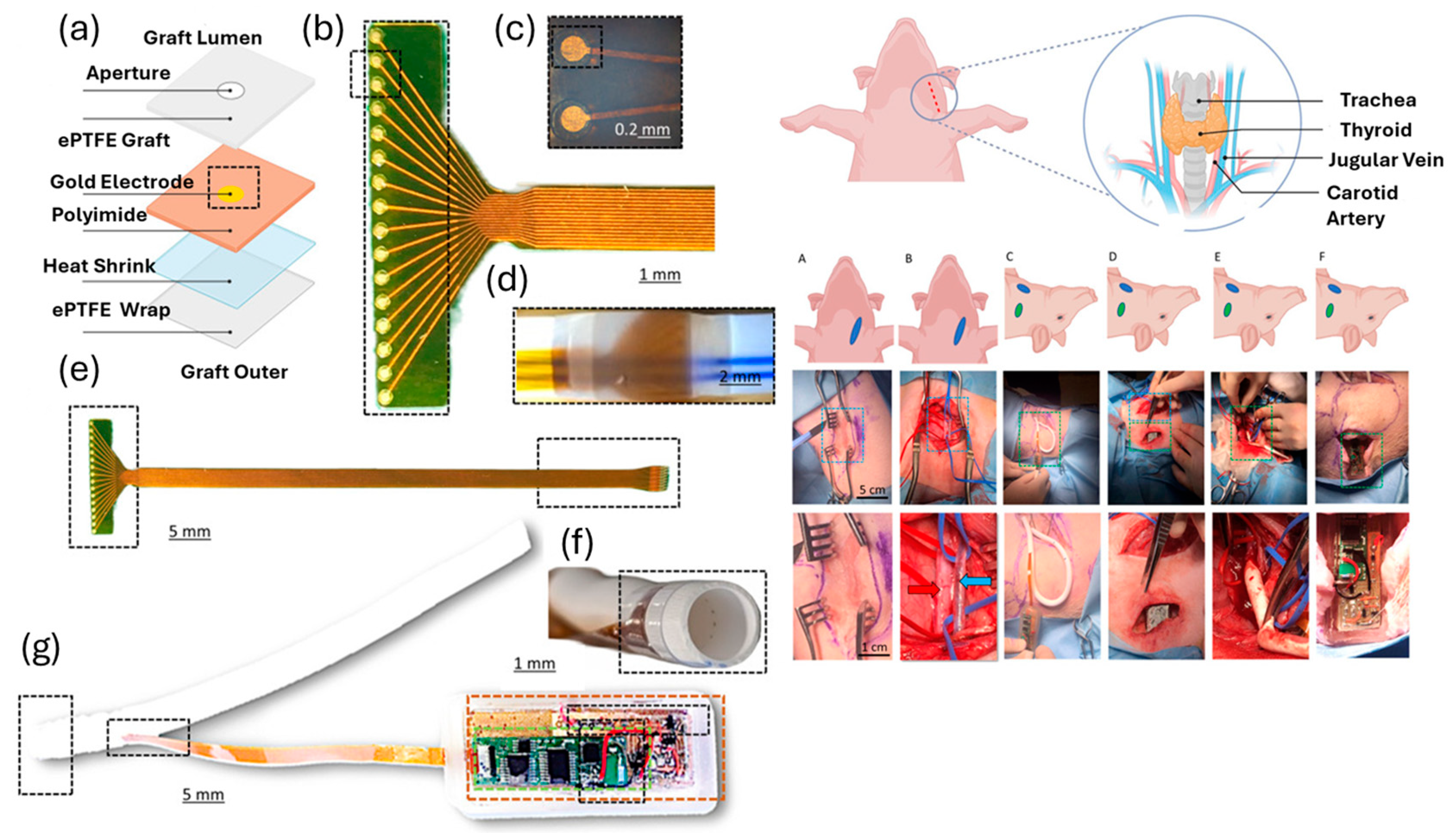 Sensors 24 05872 g012 Sensors 24 05872 g012