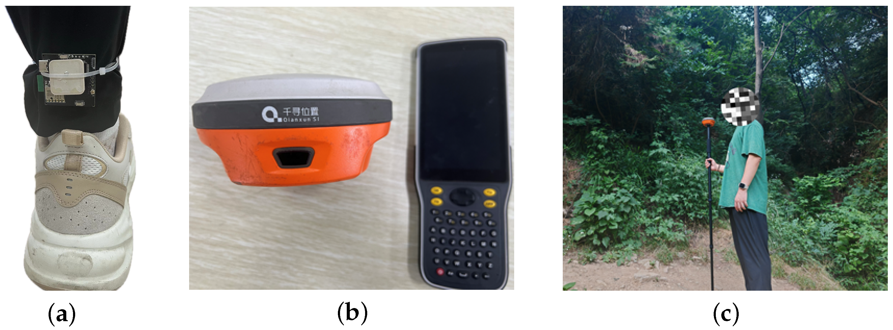 Sensors 24 05873 g002