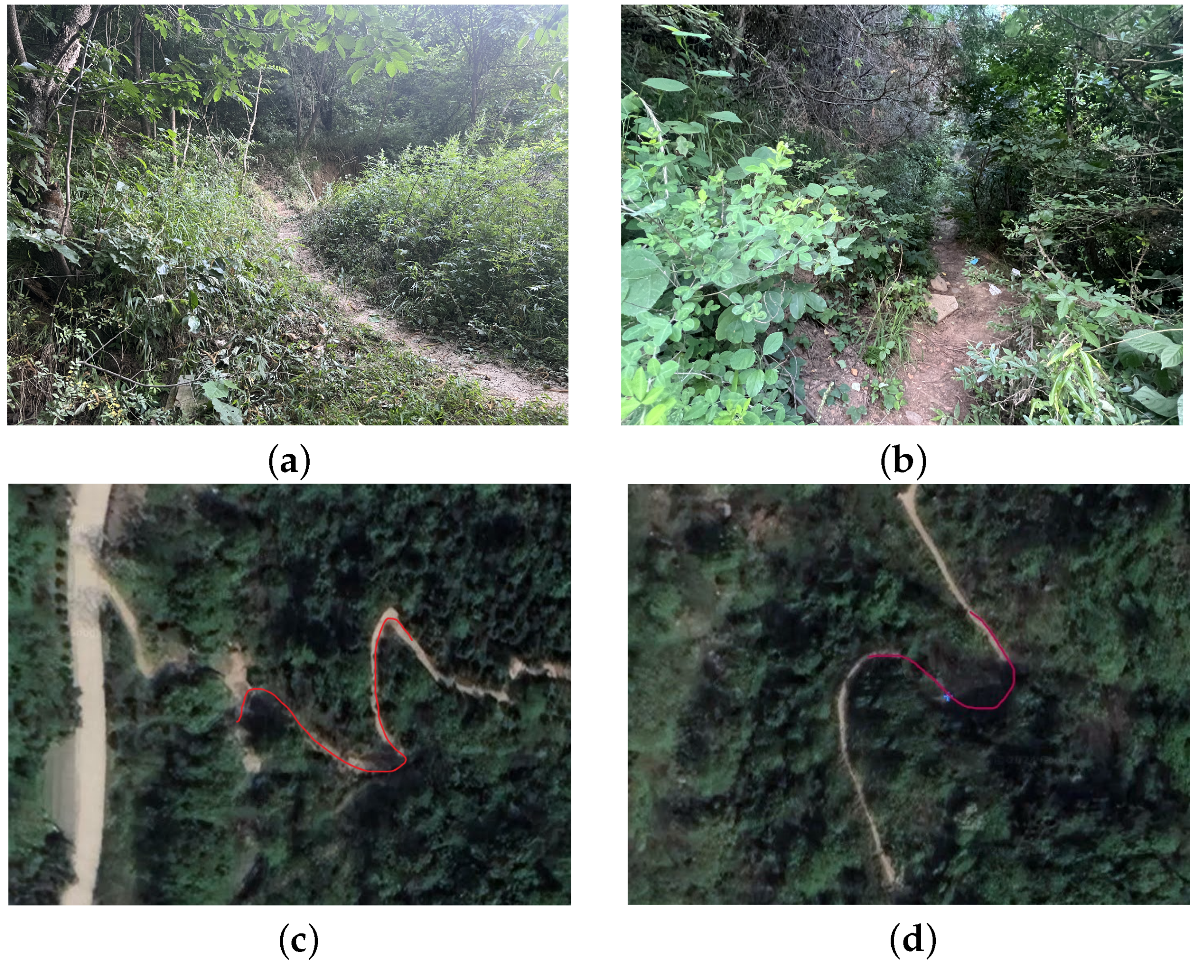 Sensors 24 05873 g007