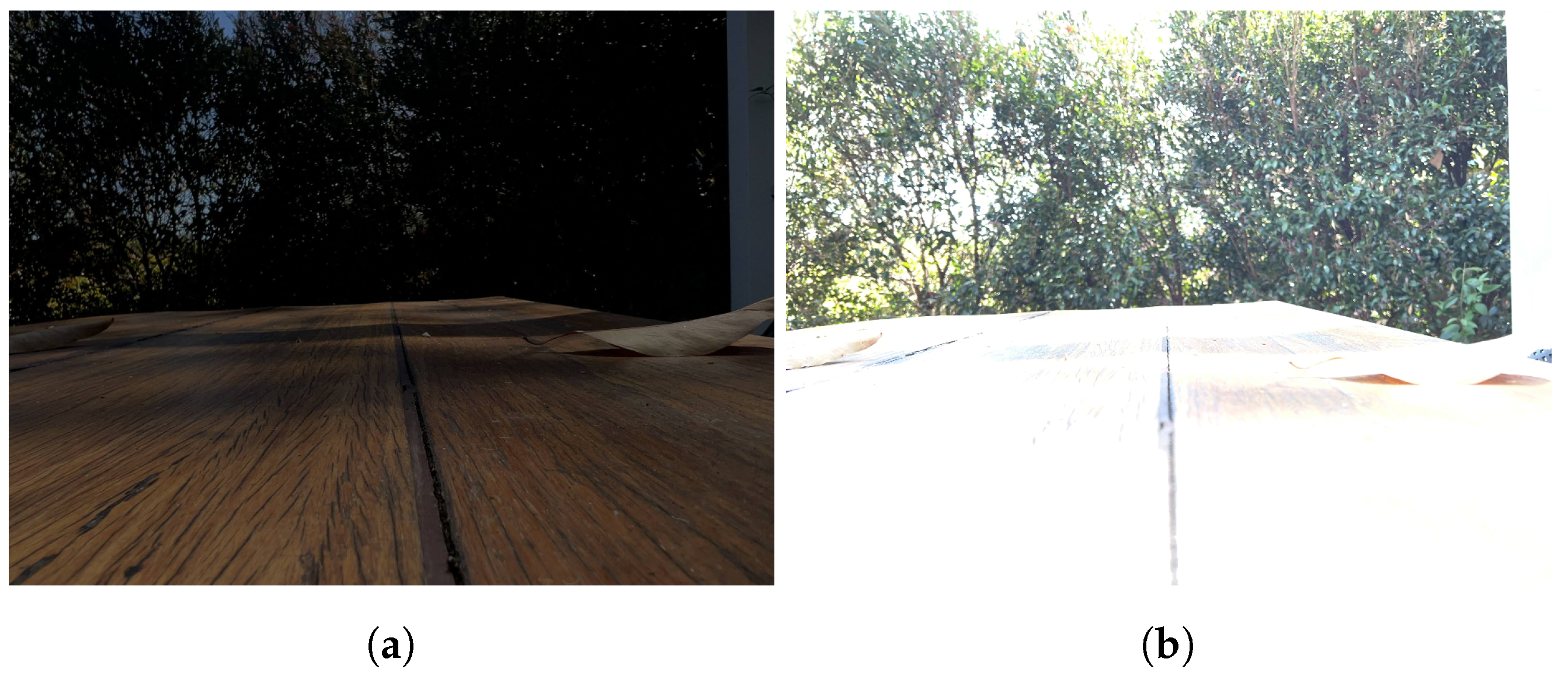 Sensors 24 05876 g009