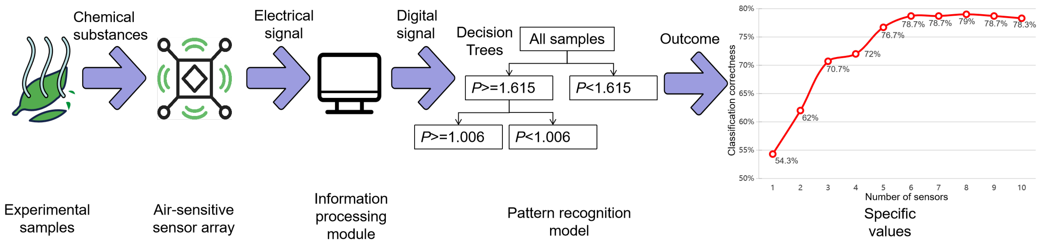 Sensors 24 05881 g001