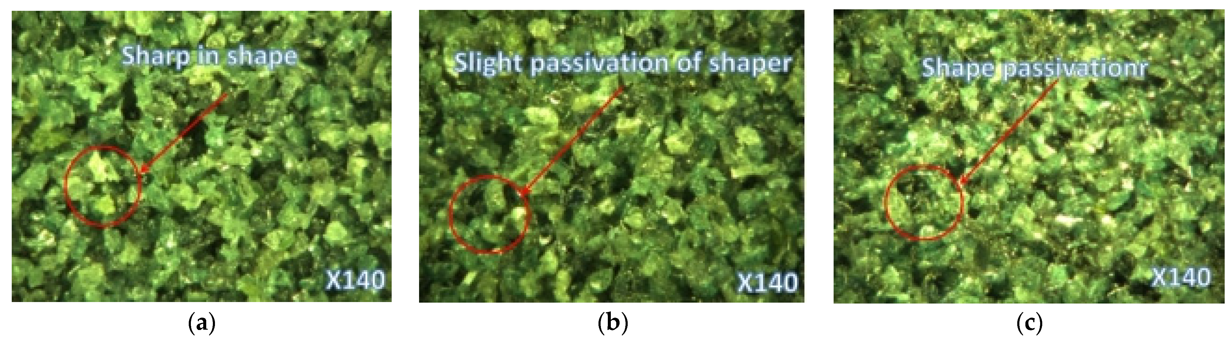 Sensors 24 05888 g002