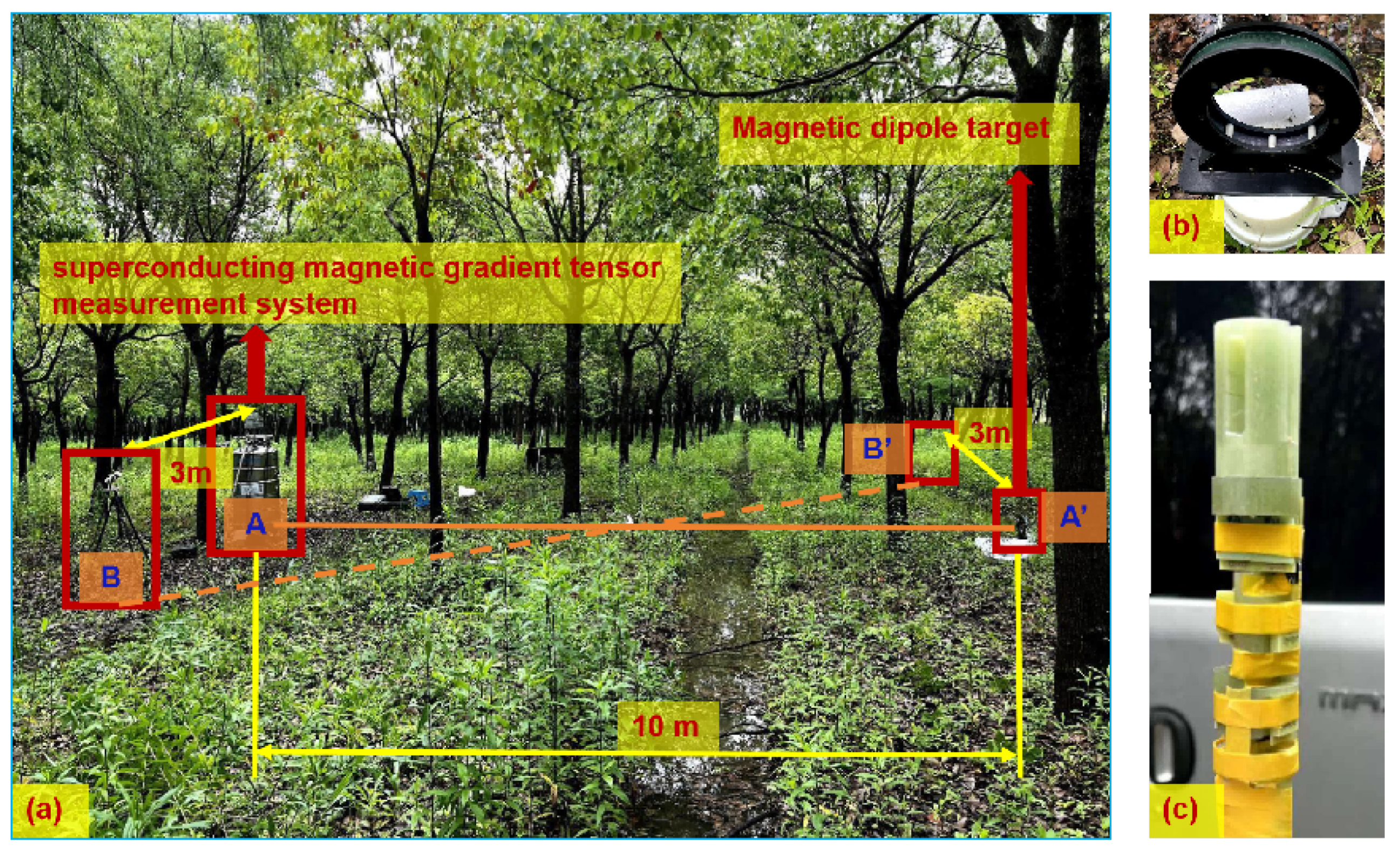 Sensors 24 05917 g010