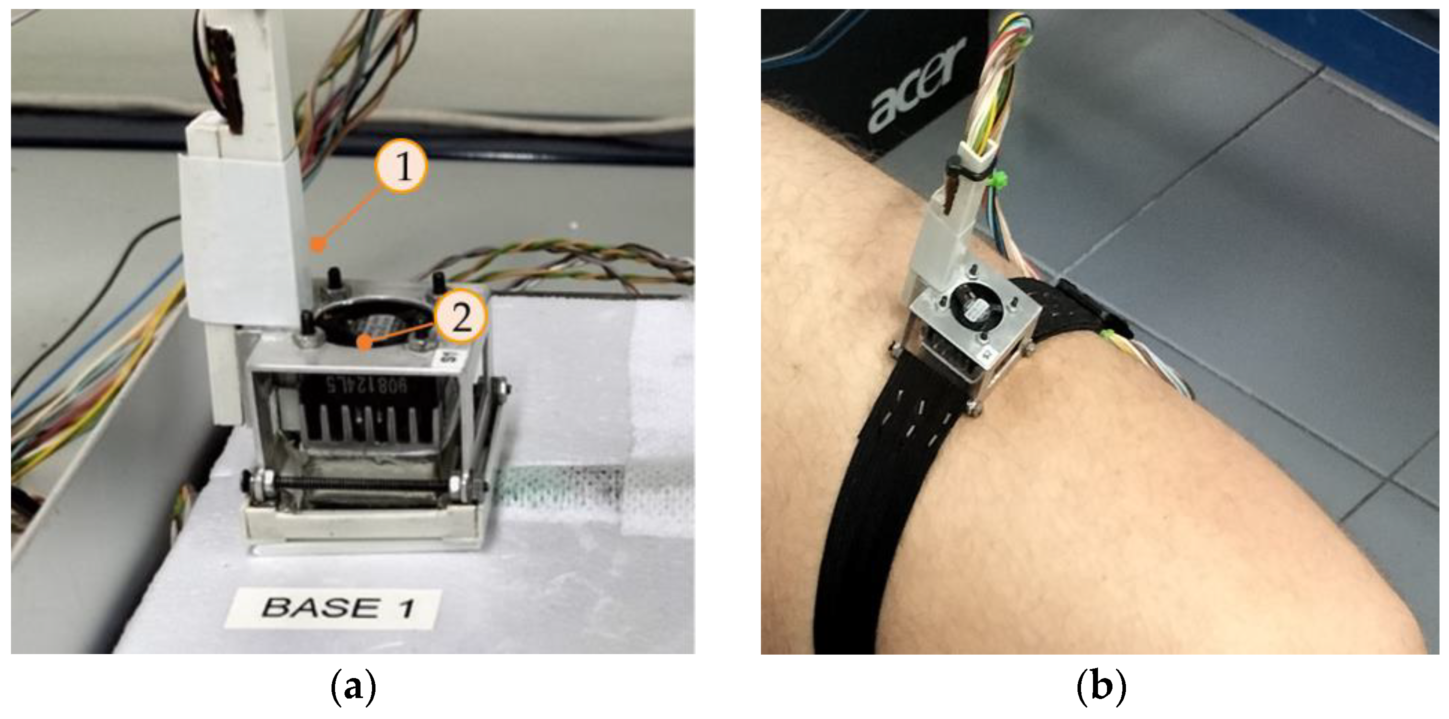 Sensors 24 05927 g002