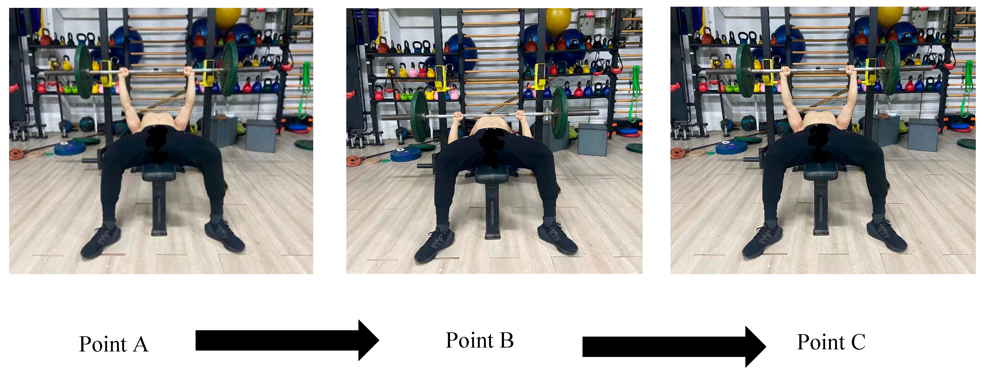 Sensors 24 05943 g002