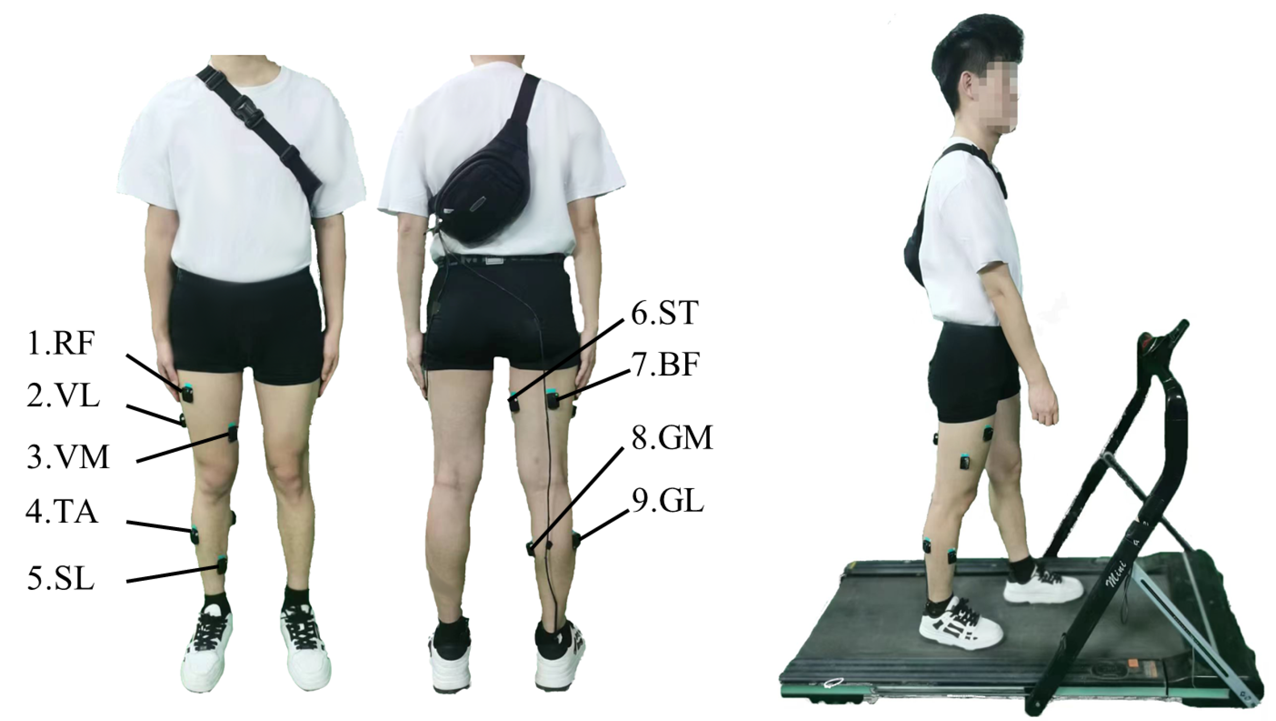 Sensors 24 05949 g004