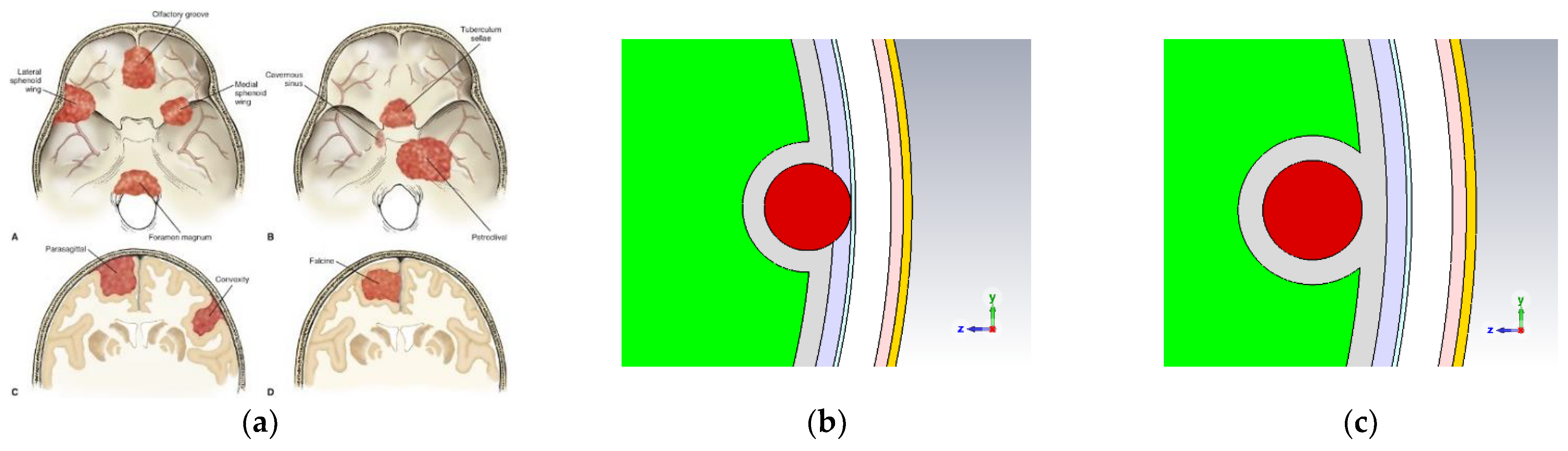 Sensors 24 05953 g002