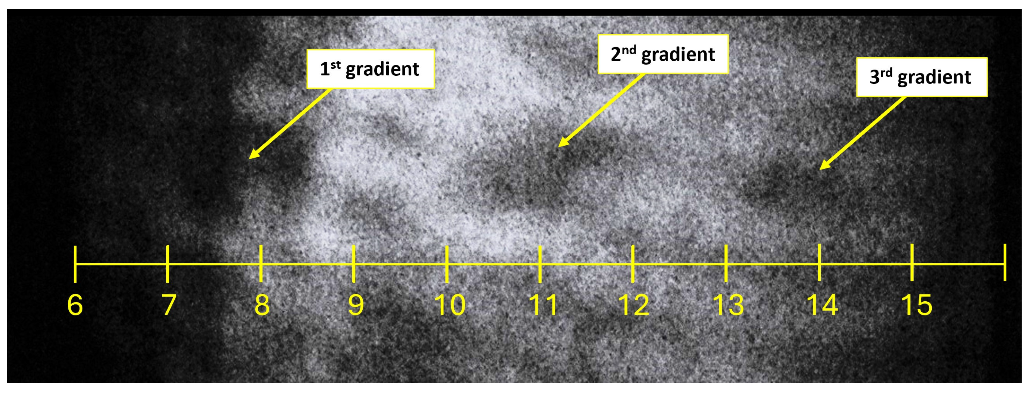 Sensors 24 05968 g013 Sensors 24 05968 g013