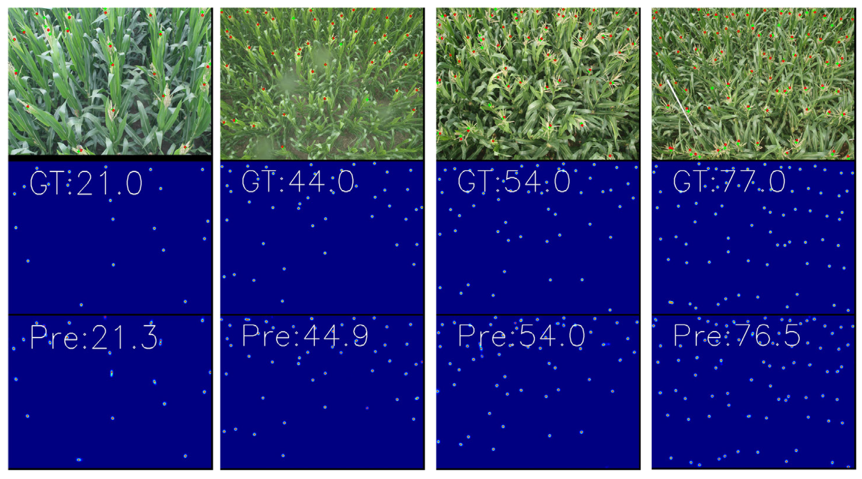 Sensors 24 05974 g007