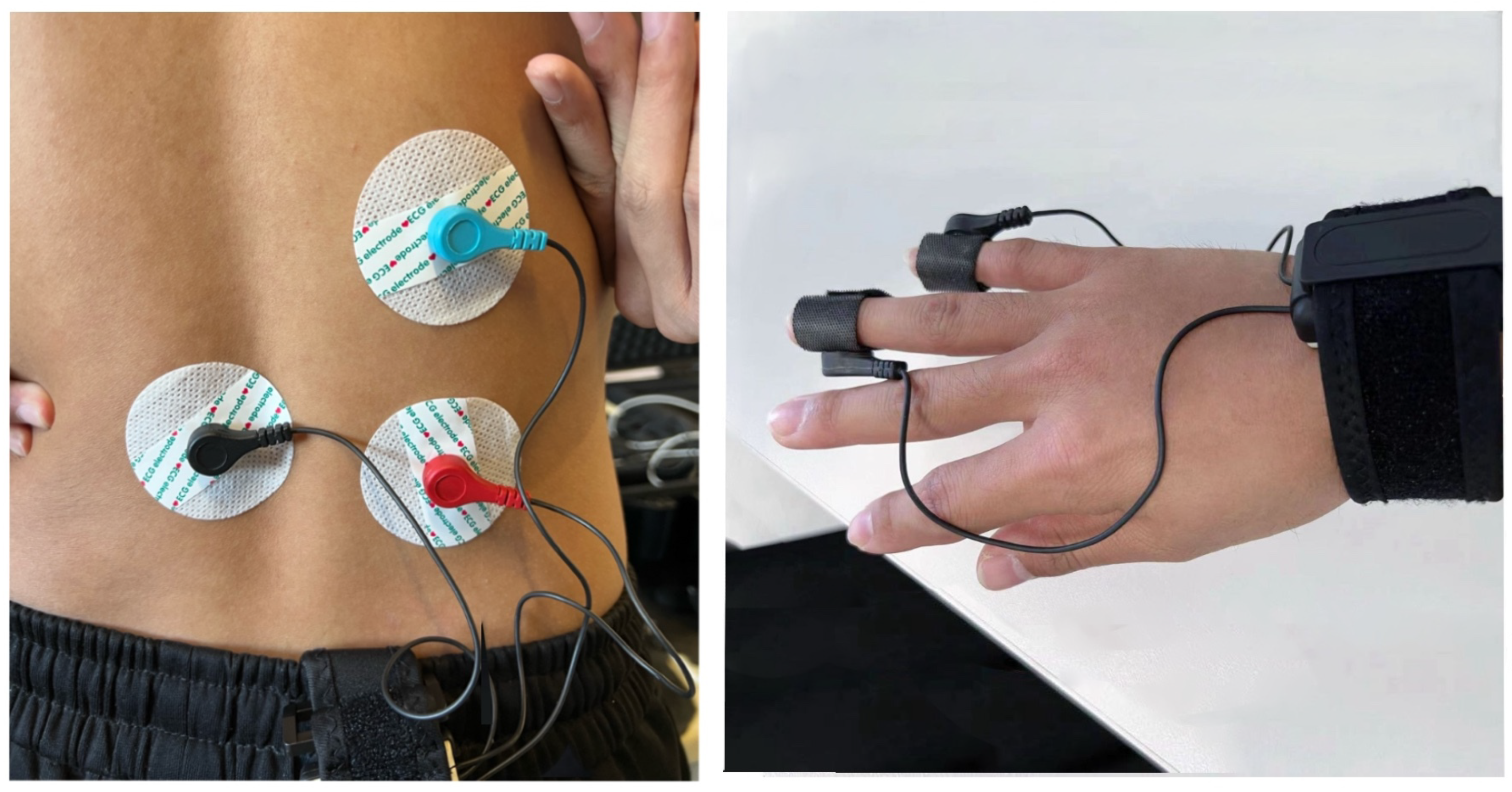 Sensors 24 05989 g003