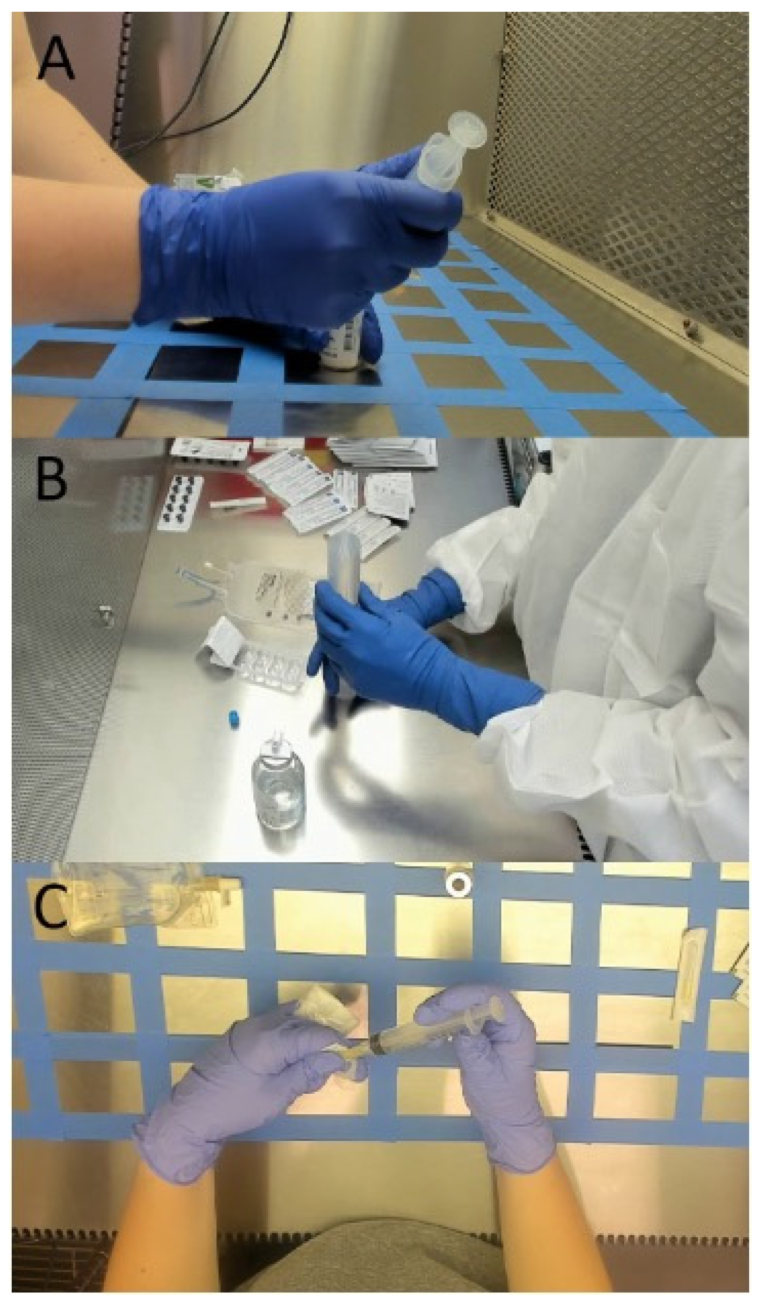 Sensors 24 06005 g002