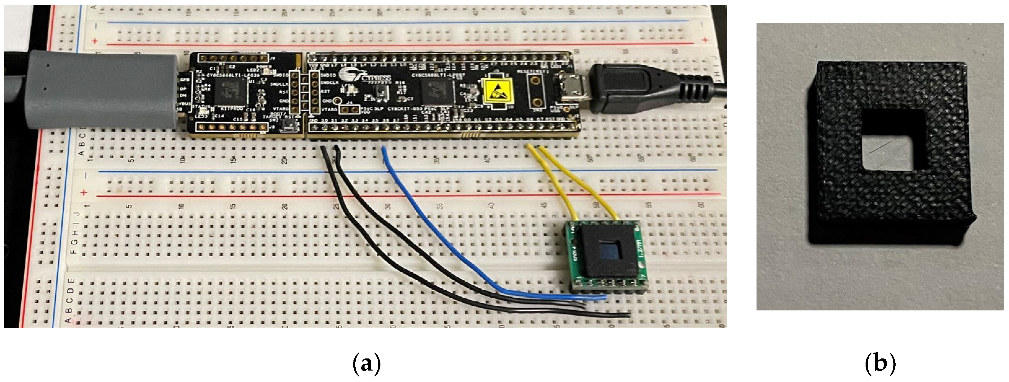 Sensors 24 06006 g001