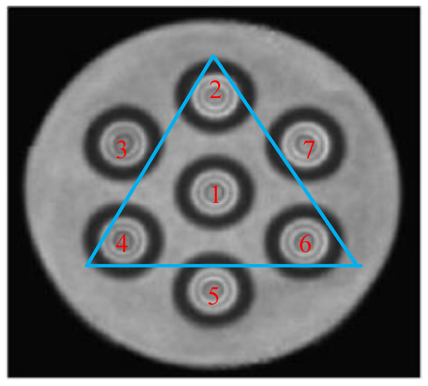 Sensors 24 06023 g010