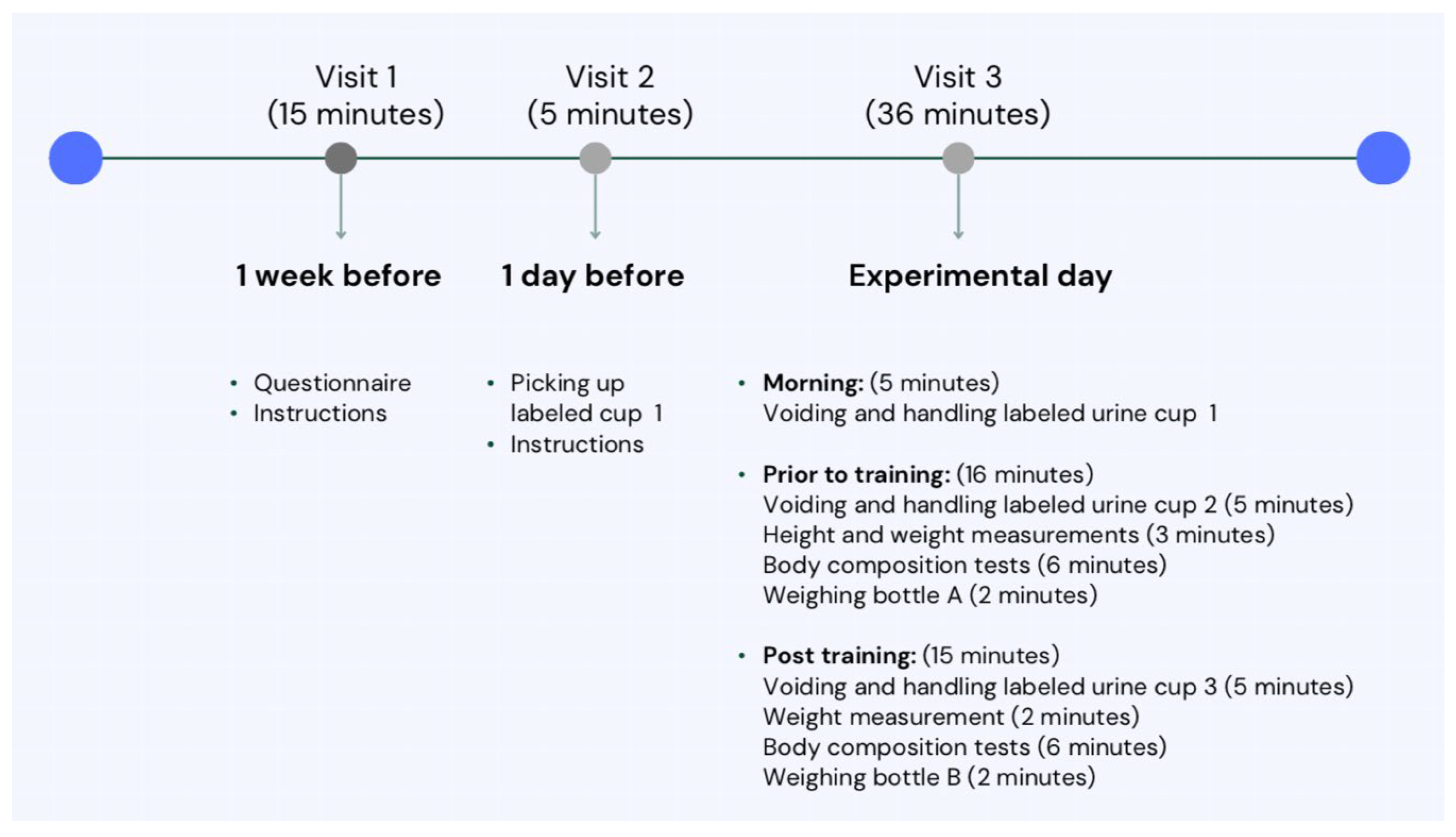 Bioelectrical Impedance Vector Analysis (BIVA) for Assessment of 