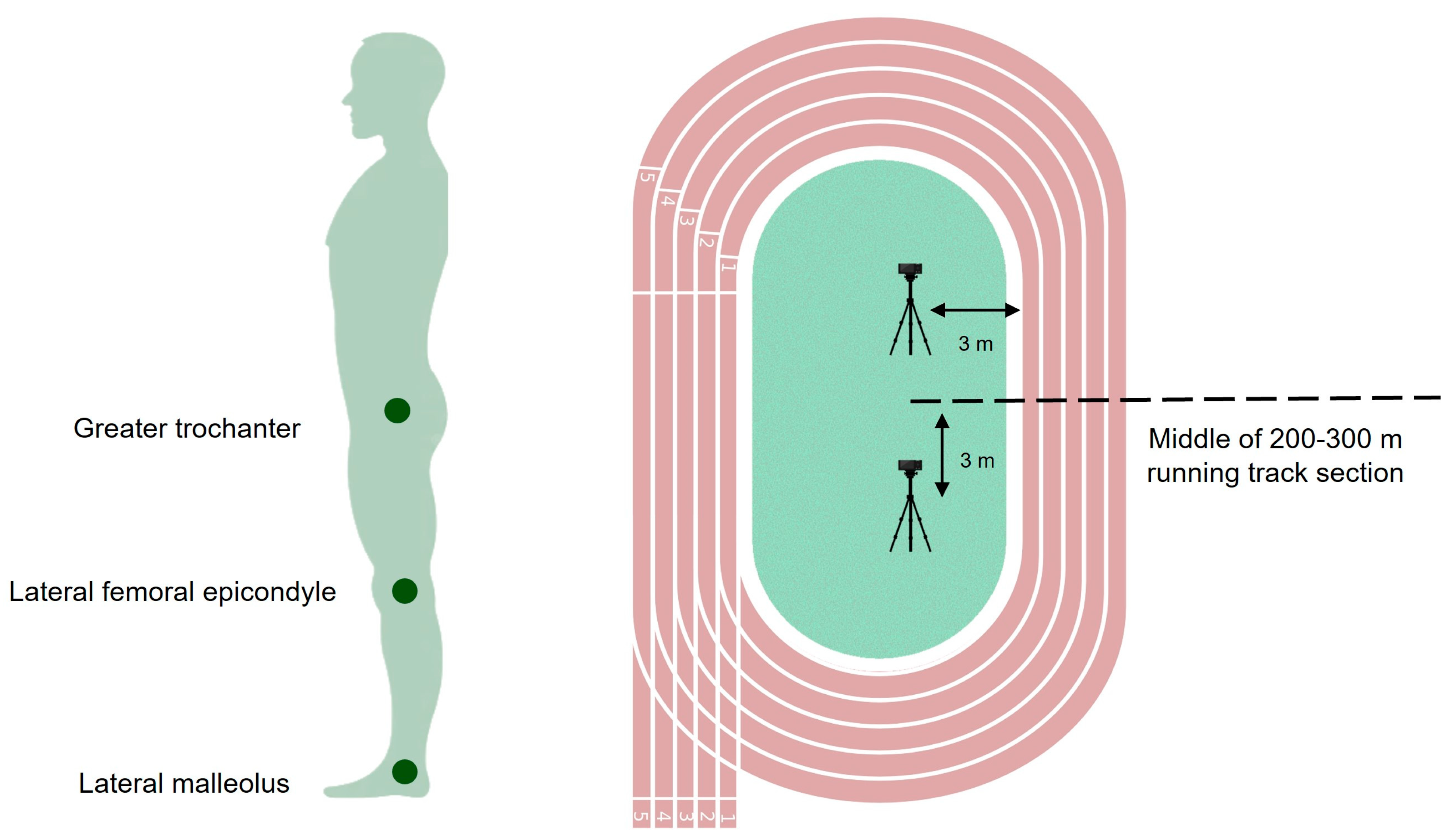 Sensors 24 06032 g002