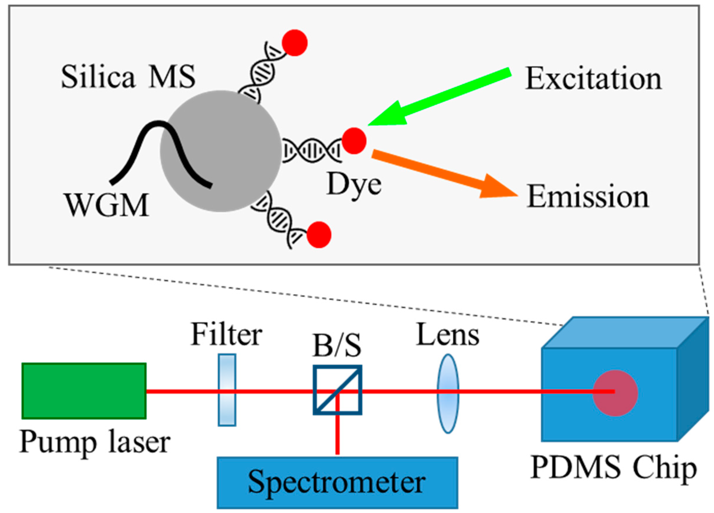 Sensors 24 06088 g001