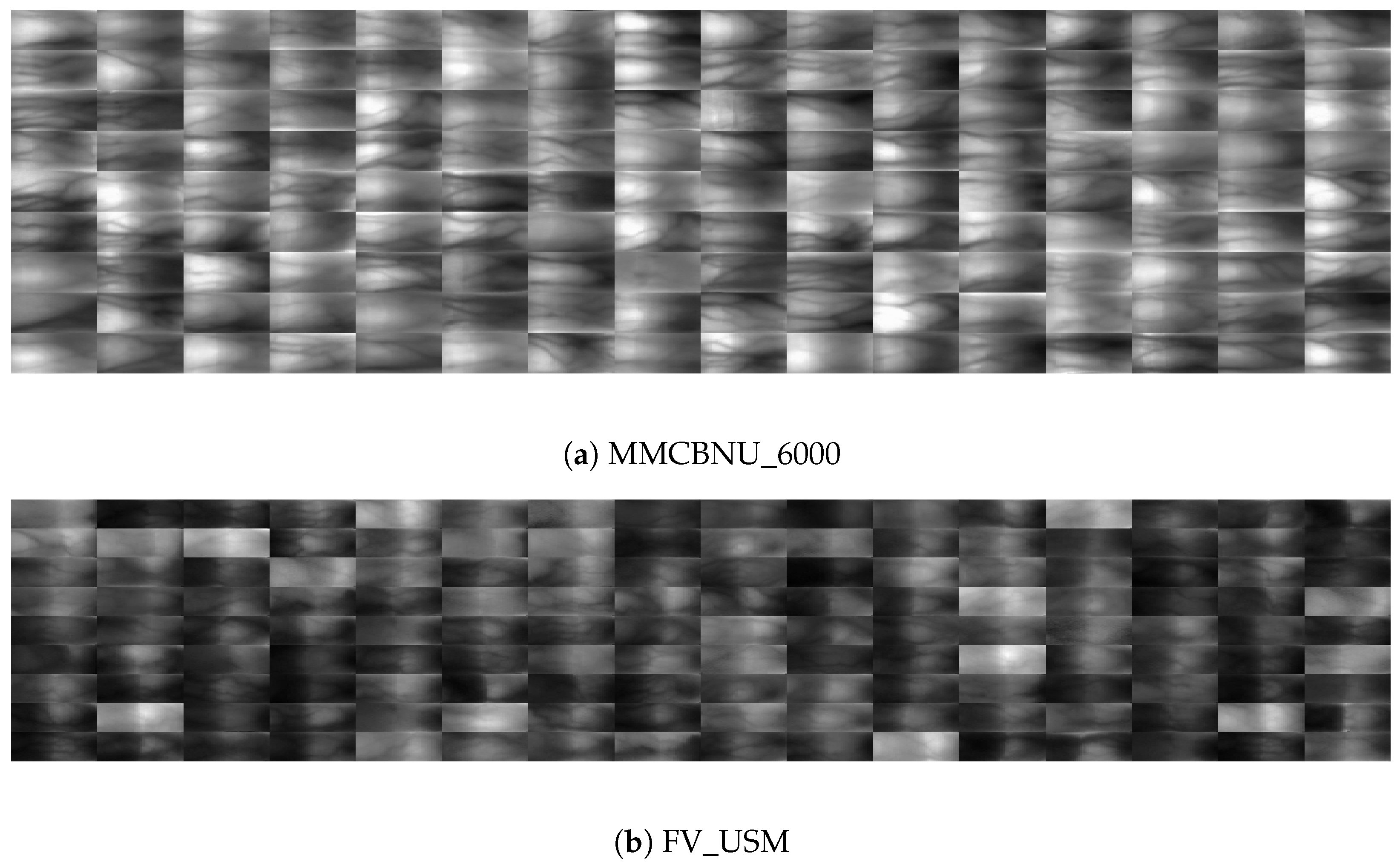 Sensors 24 06097 g007a