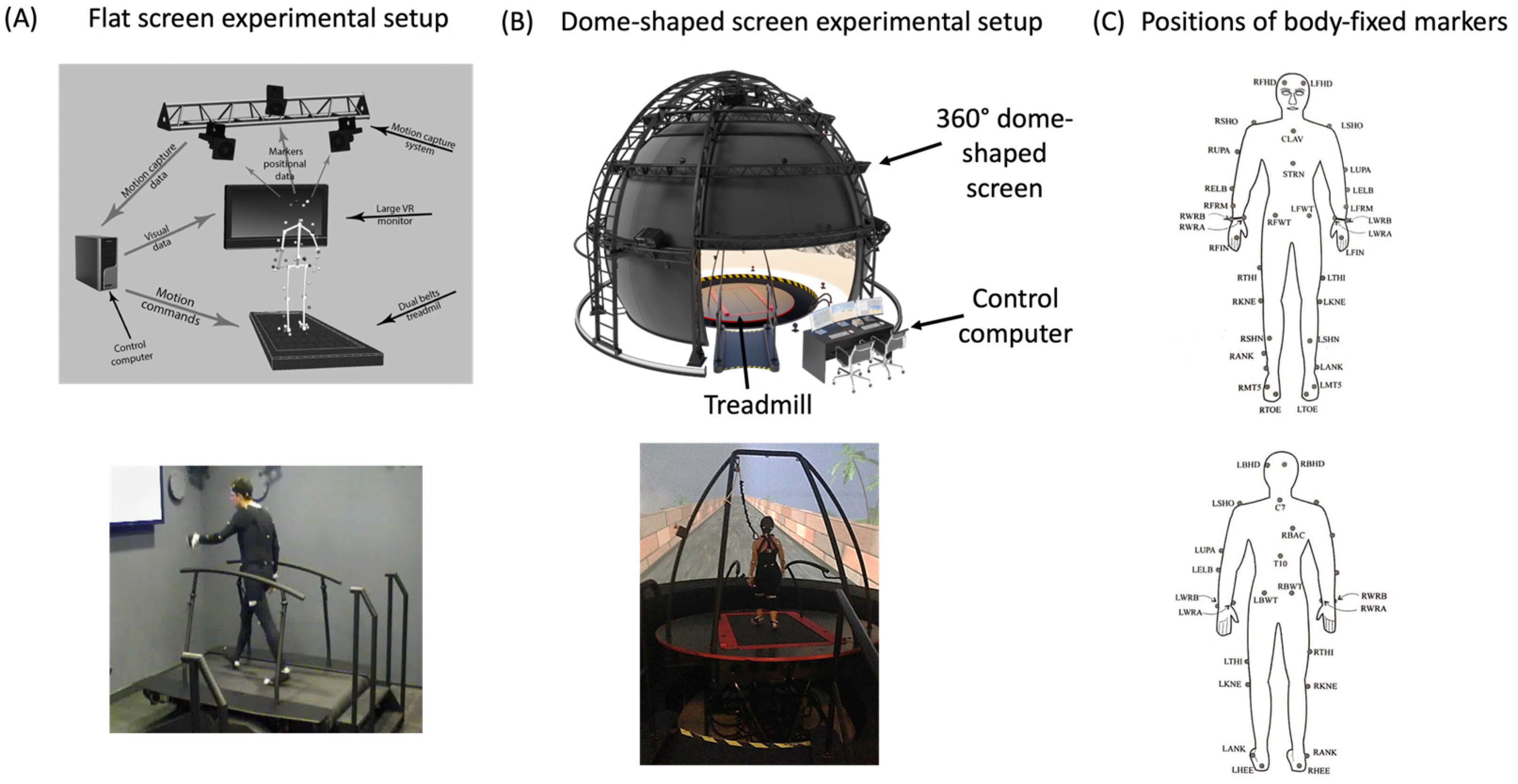 Sensors 24 06105 g001
