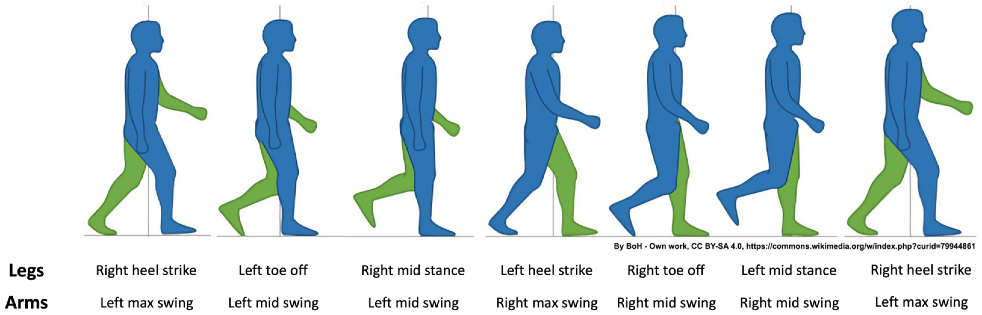 Sensors 24 06105 g003