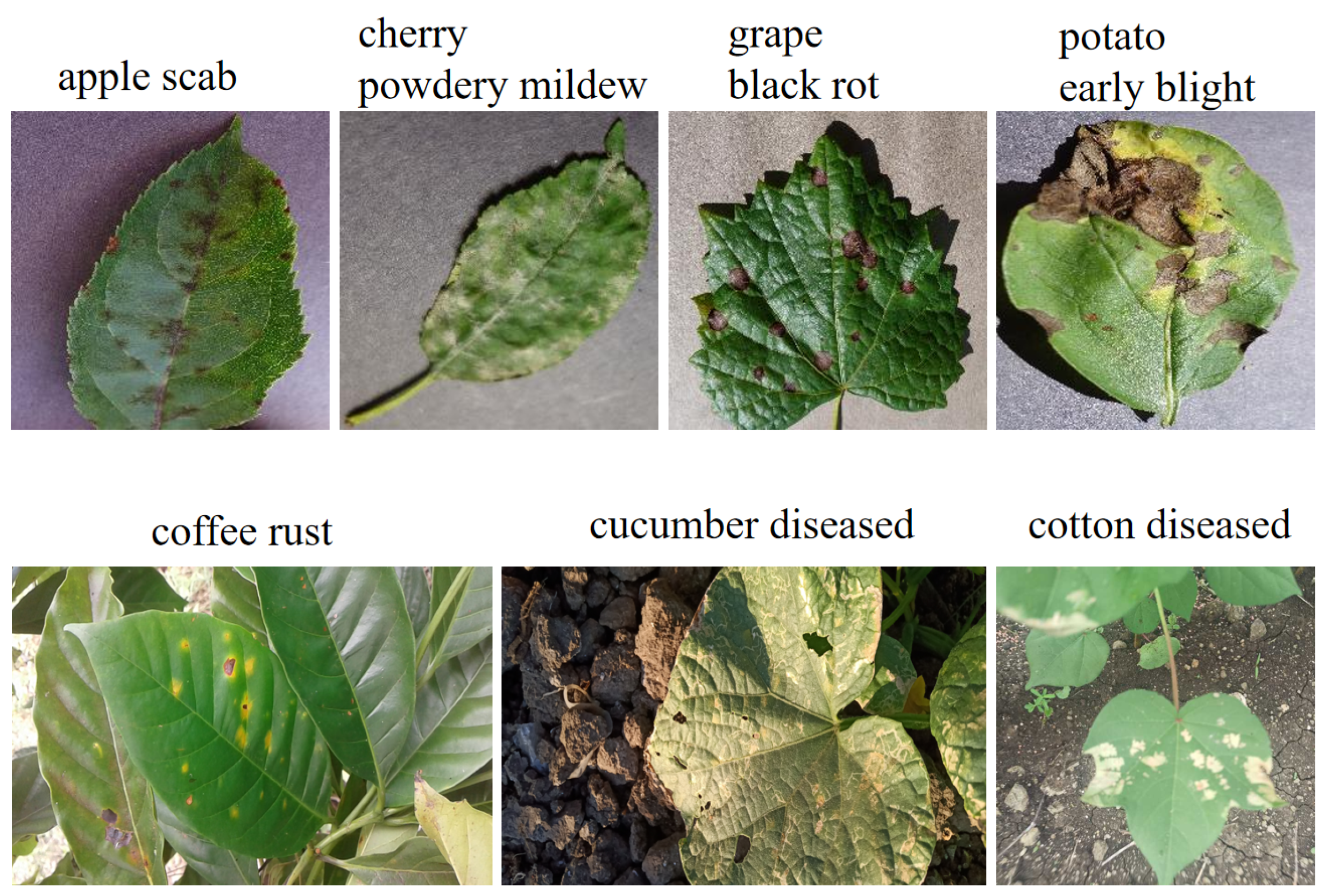 Sensors 24 06109 g003