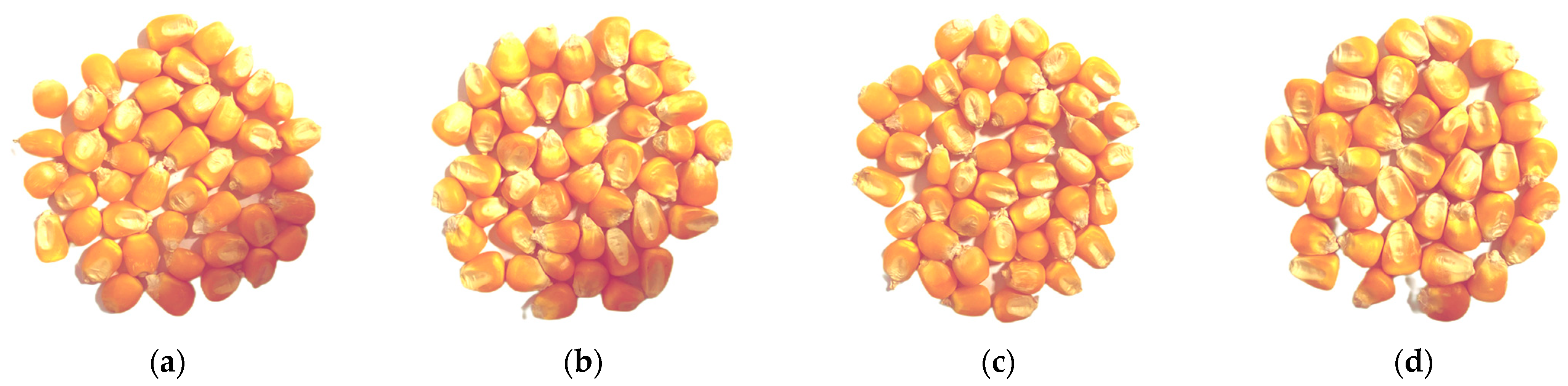 Sensors 24 06111 g001