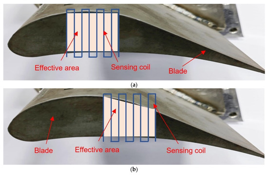 Experimental Investigation on the Effect of Coil Shape on