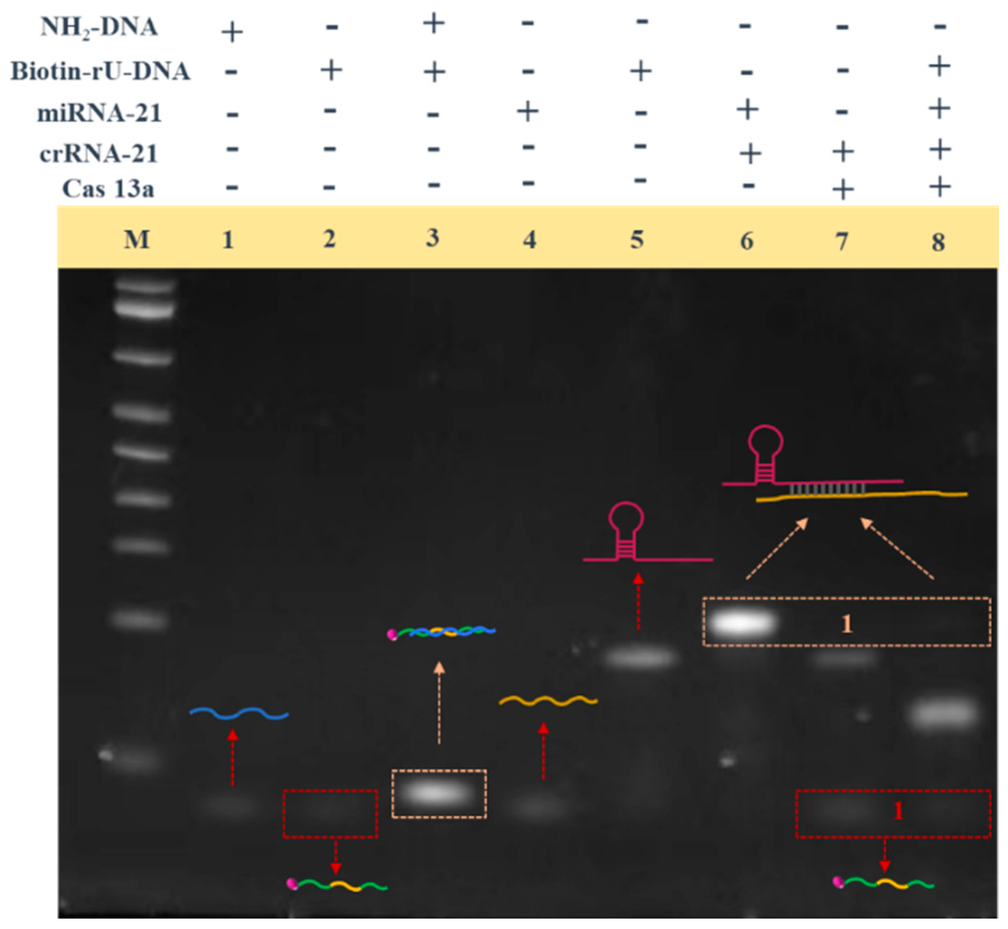 Sensors 24 06138 g003