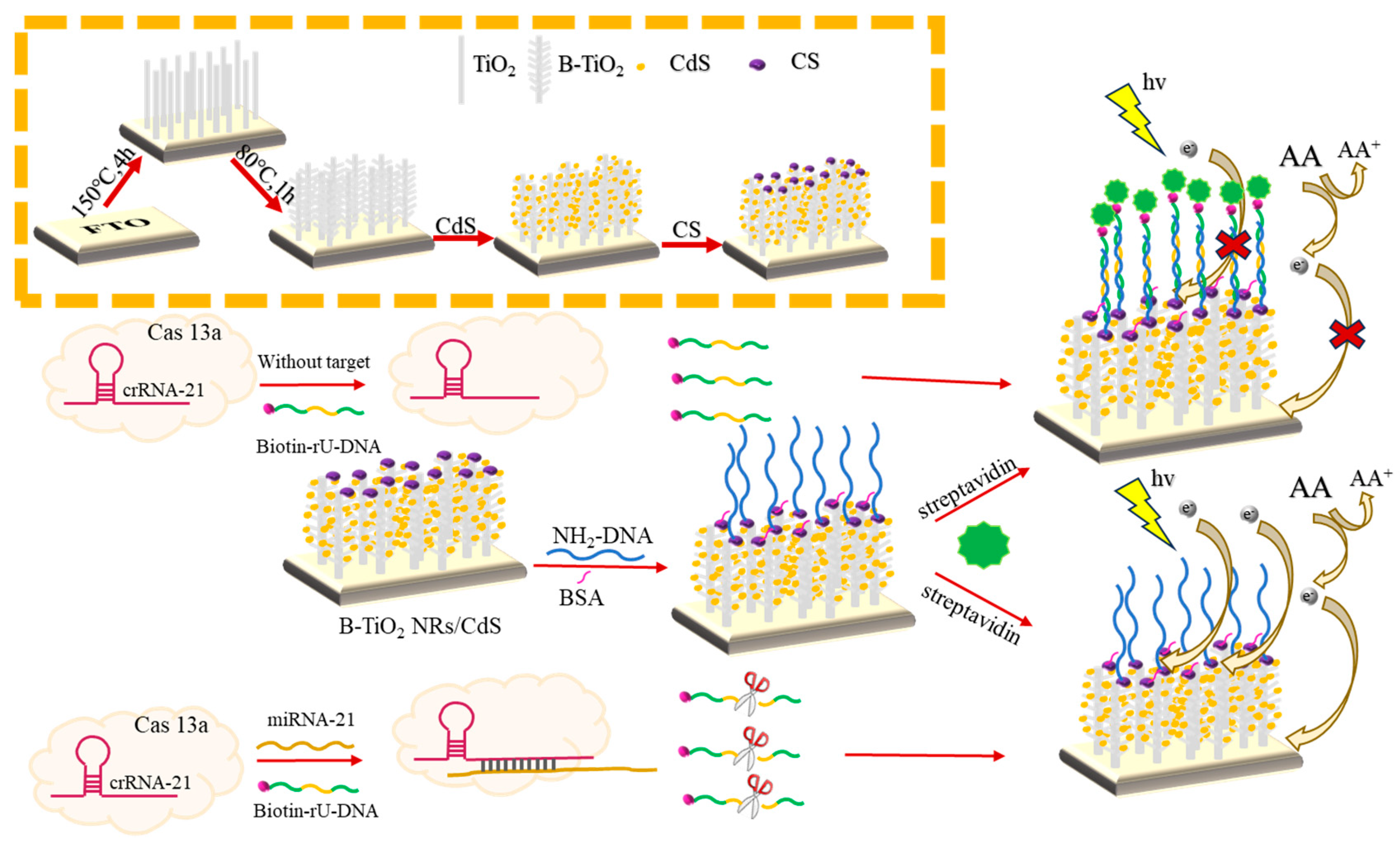 Sensors 24 06138 sch001