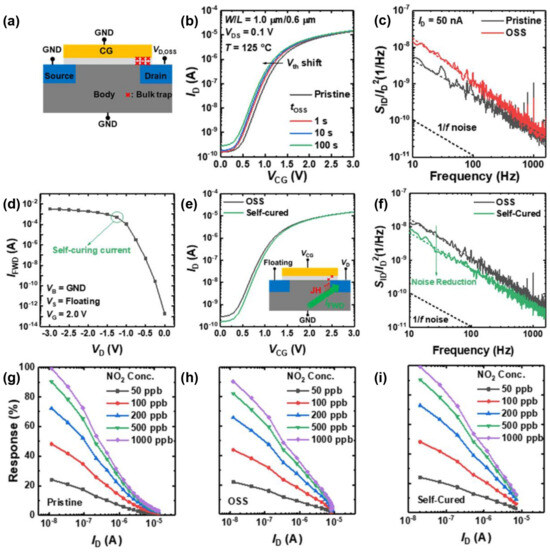 Gas Sensing Properties of Indium–Oxide–Based Field–Effect