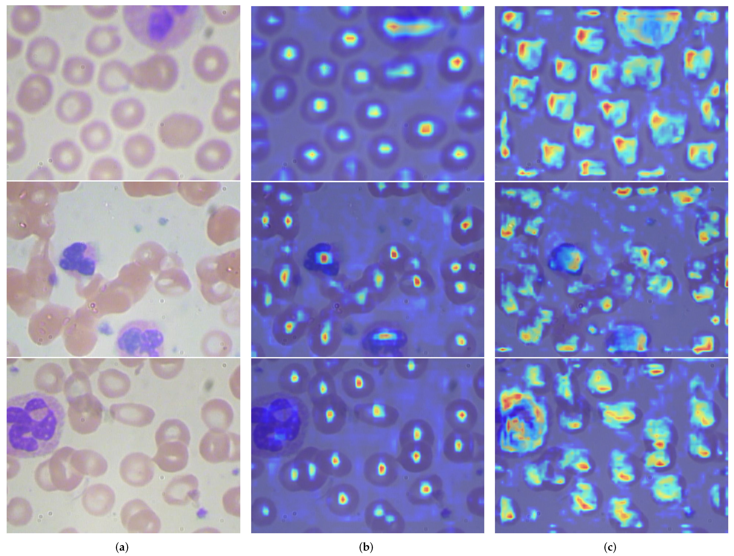 Sensors 24 06168 g013