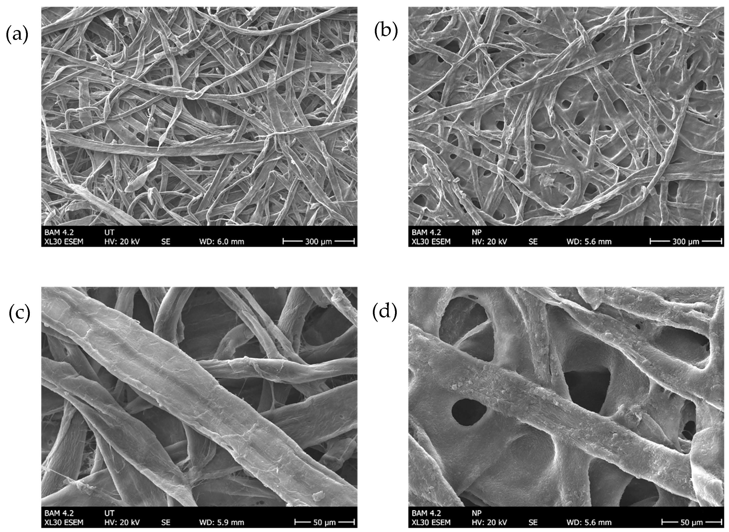 Sensors 24 06195 g008