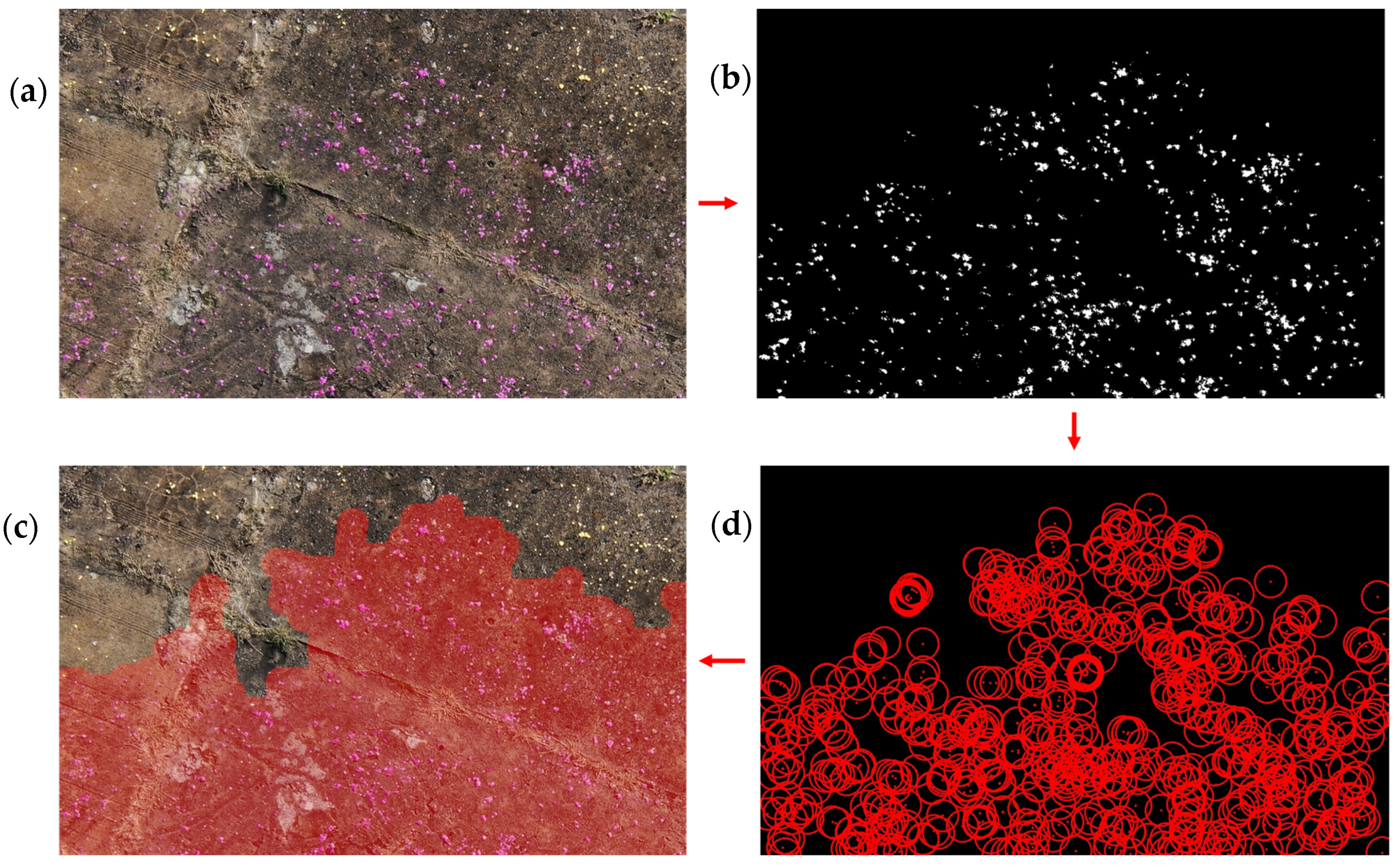 Sensors 24 06195 g011