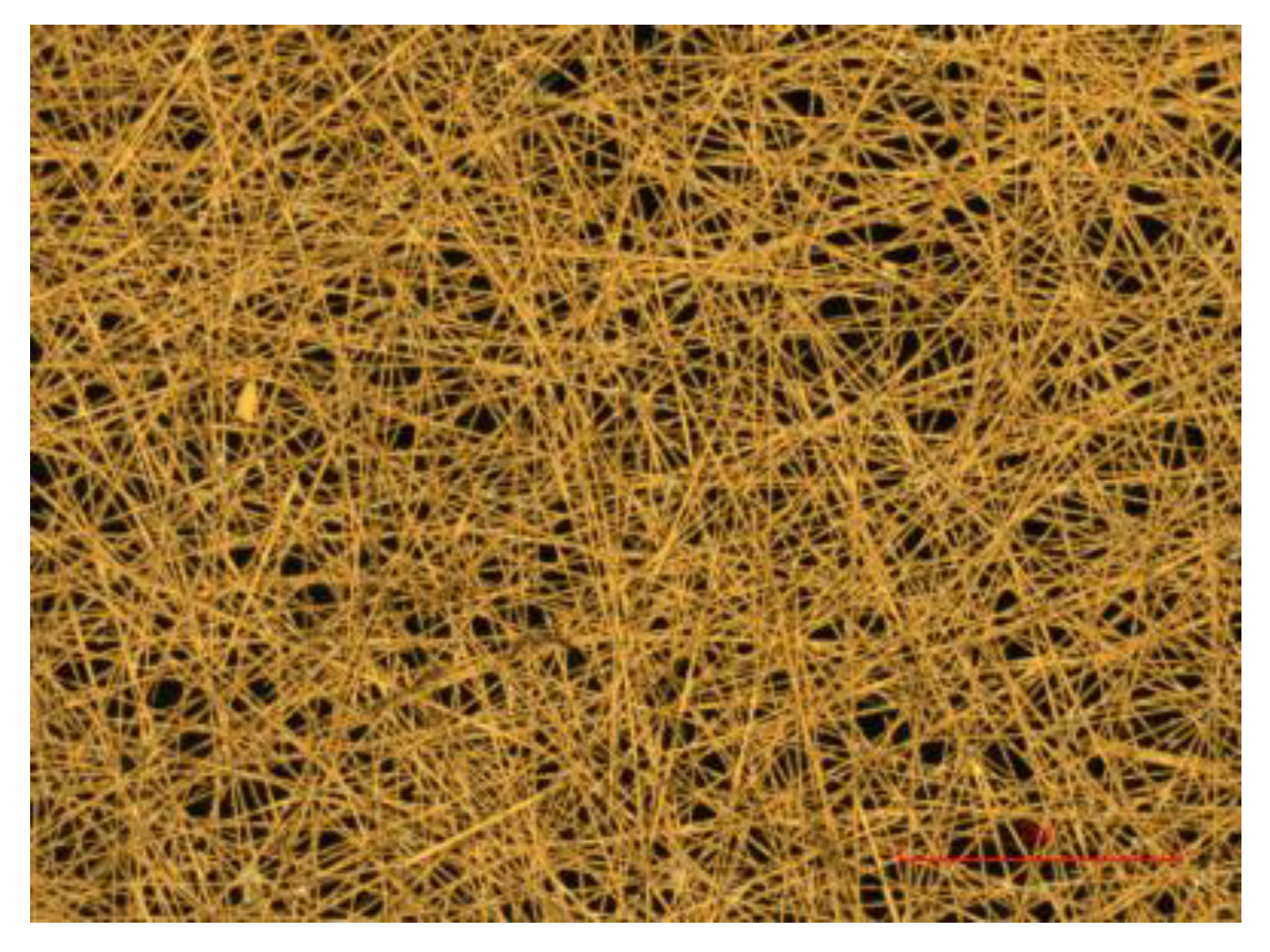 Sensors 24 06206 g002