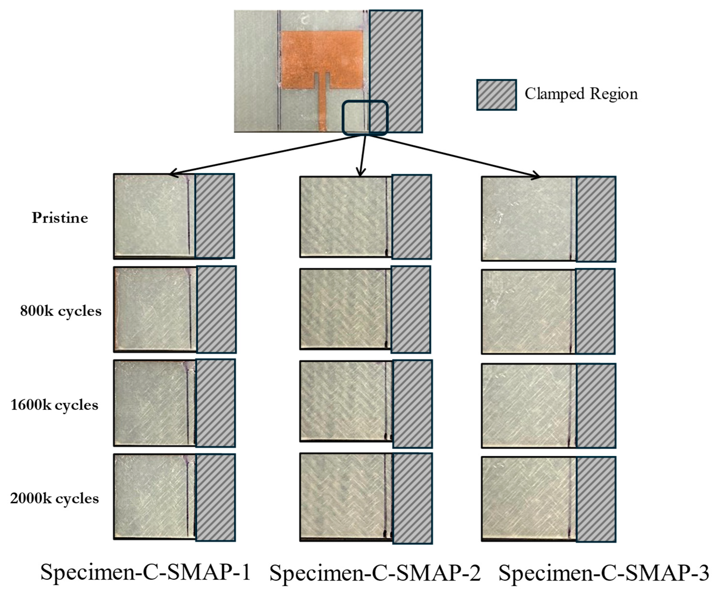 Sensors 24 06206 g020