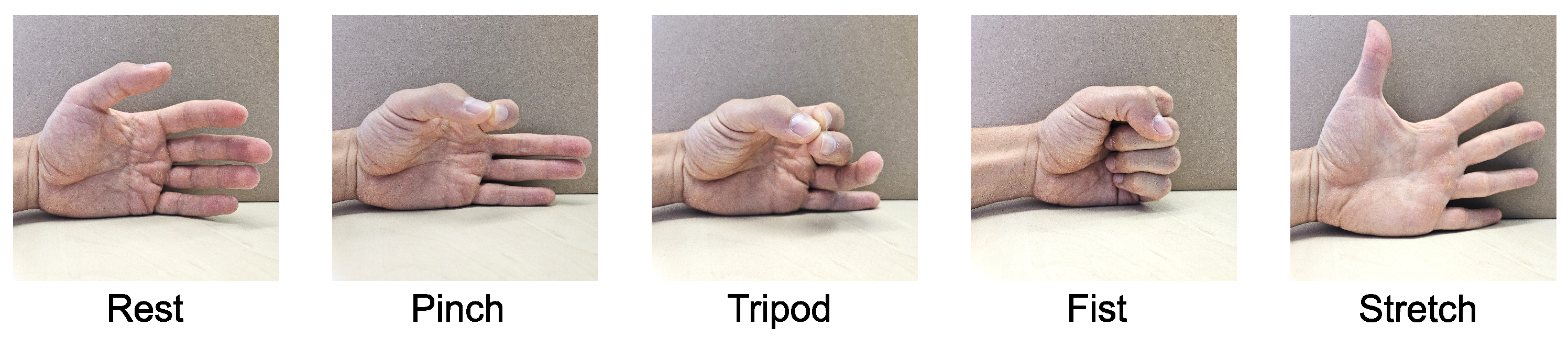 Sensors 24 06214 g006