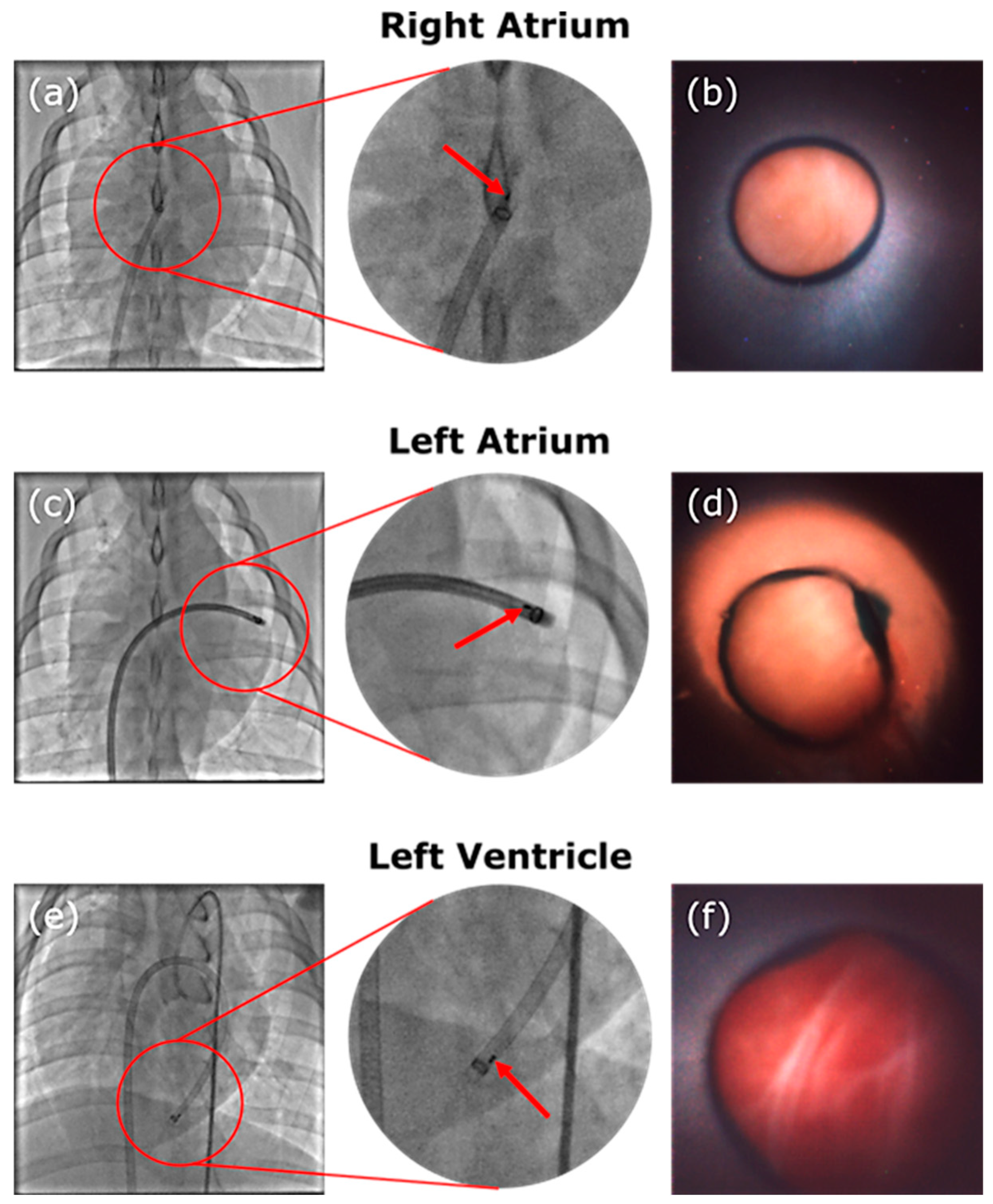 Sensors 24 06216 g006