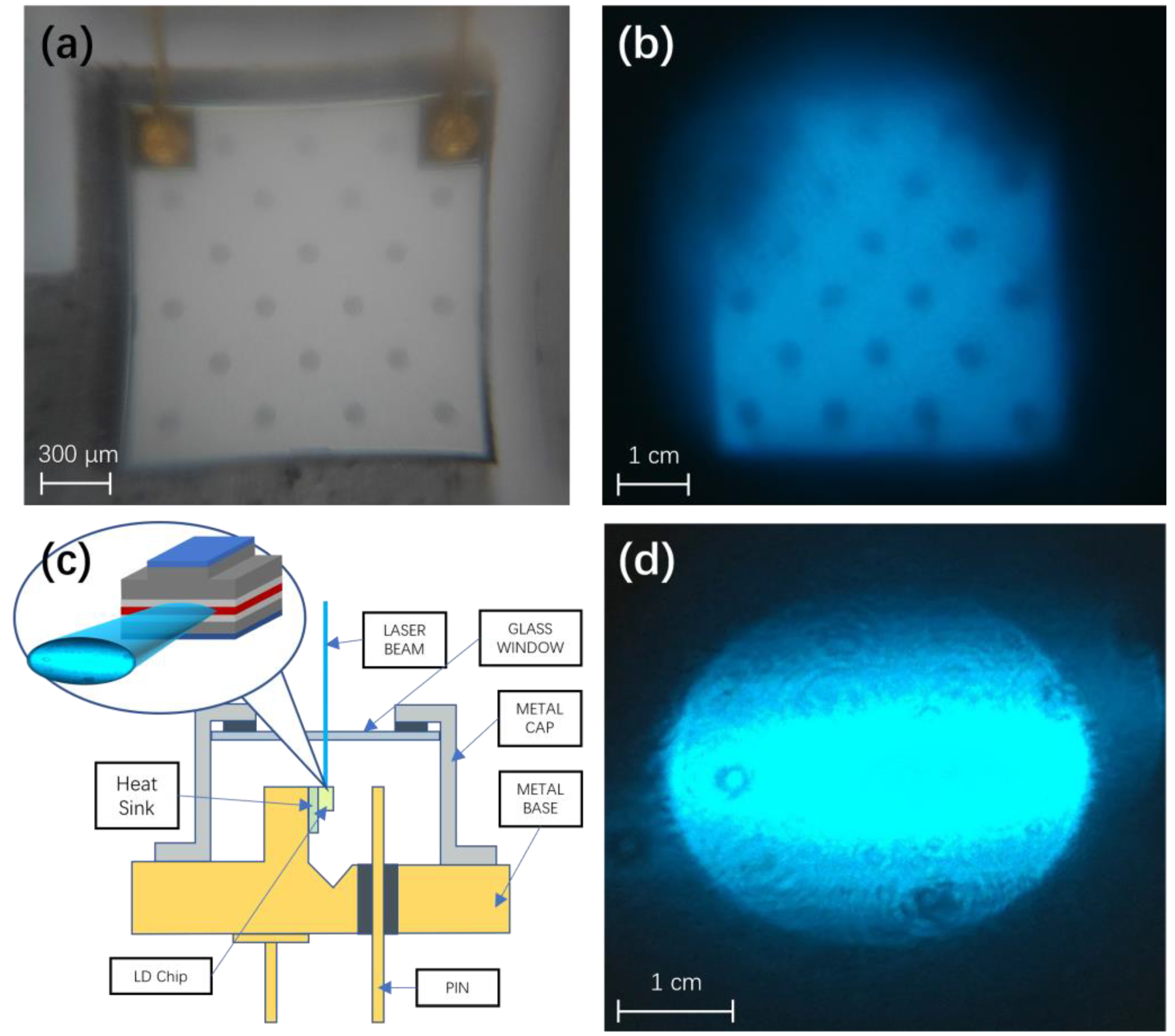 Sensors 24 06224 g004 Sensors 24 06224 g004