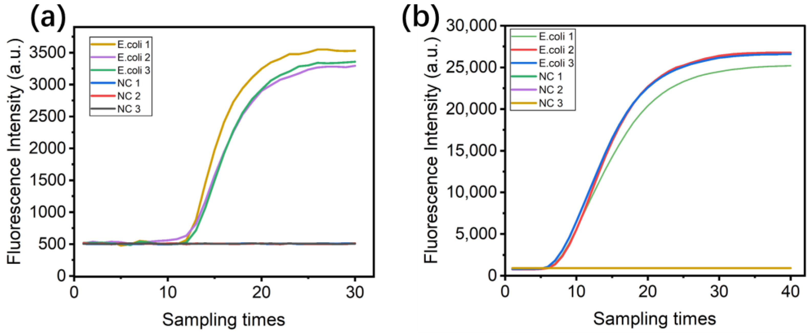 Sensors 24 06224 g009 Sensors 24 06224 g009