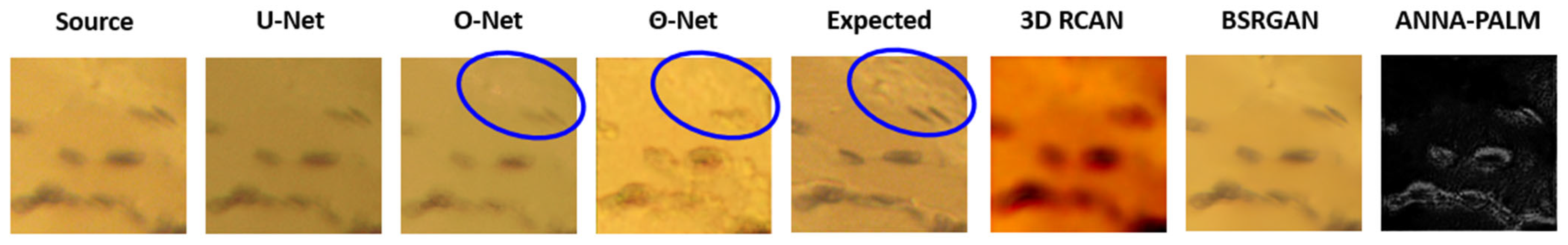Sensors 24 06248 g003