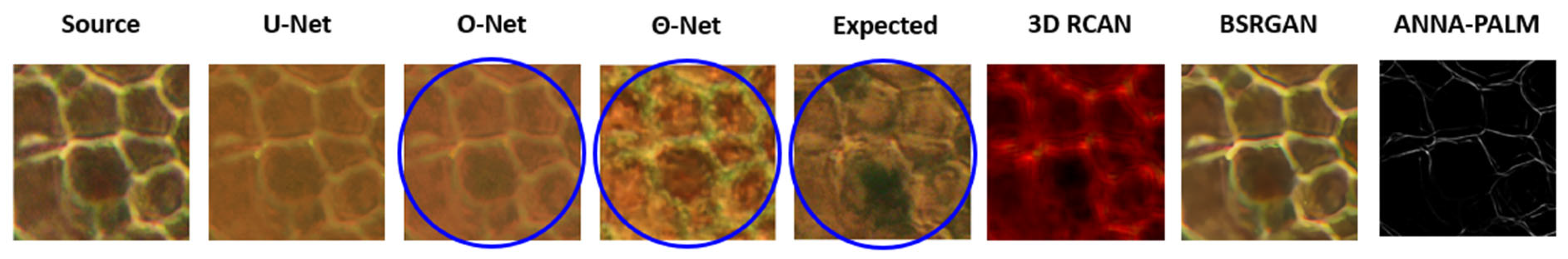 Sensors 24 06248 g007