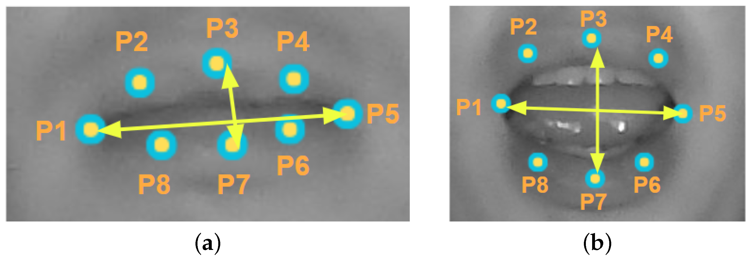 Sensors 24 06261 g008