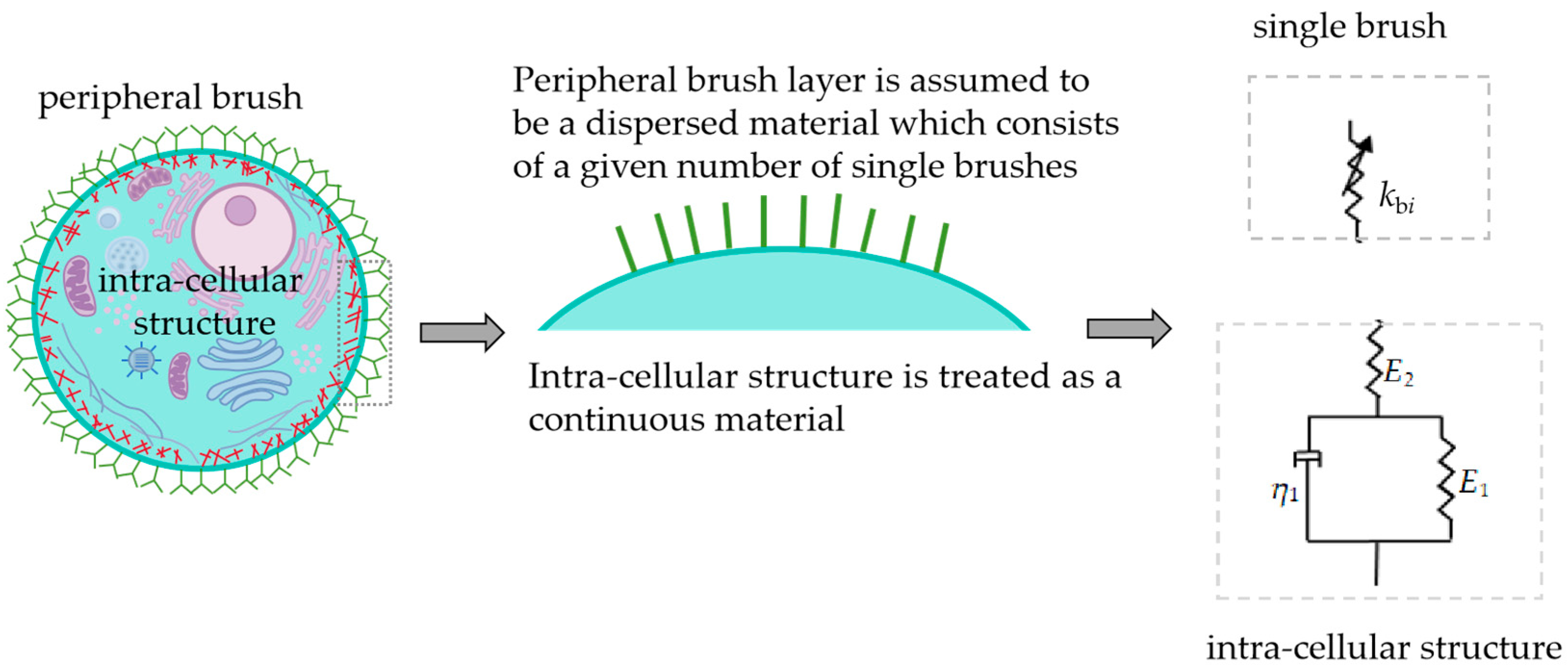 Sensors 24 06312 g002