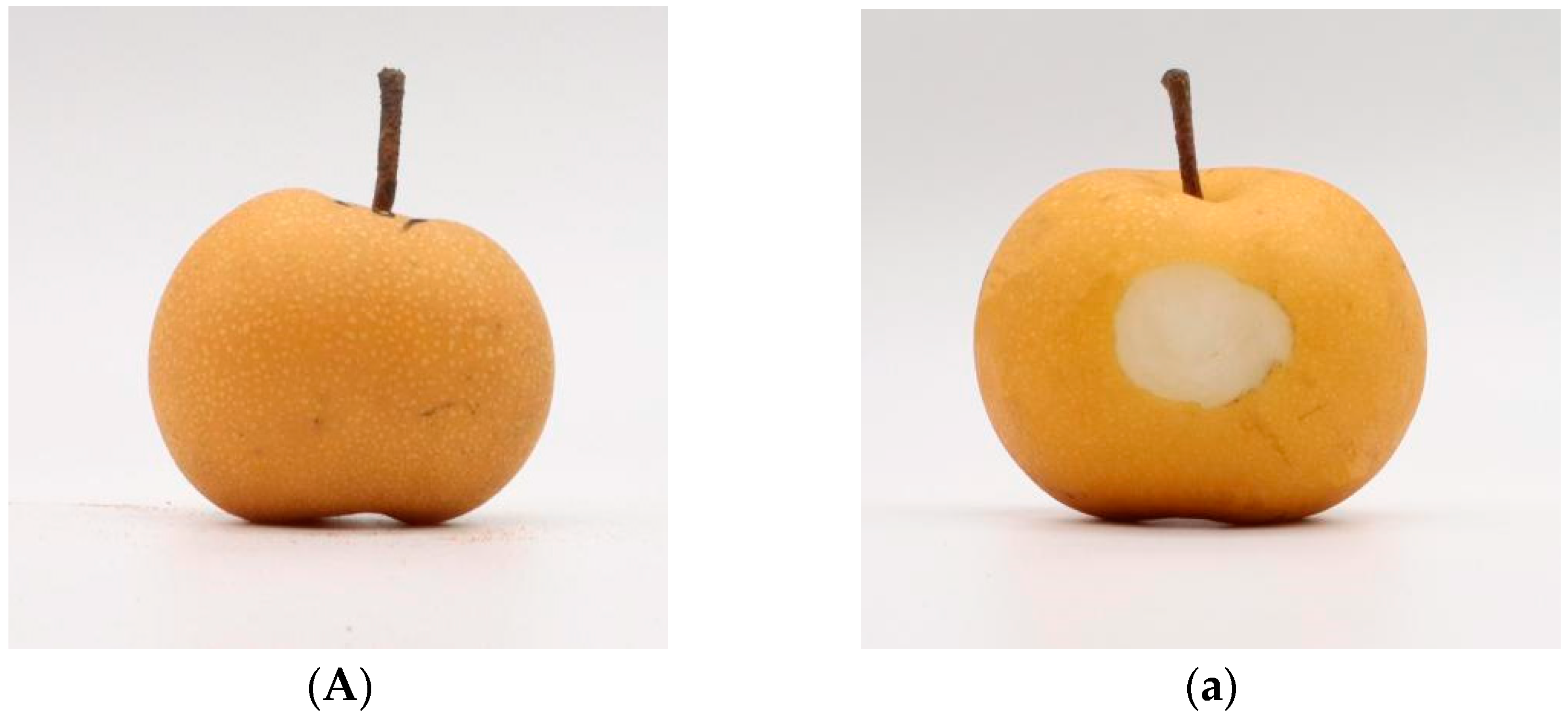 Sensors 24 06324 g001a