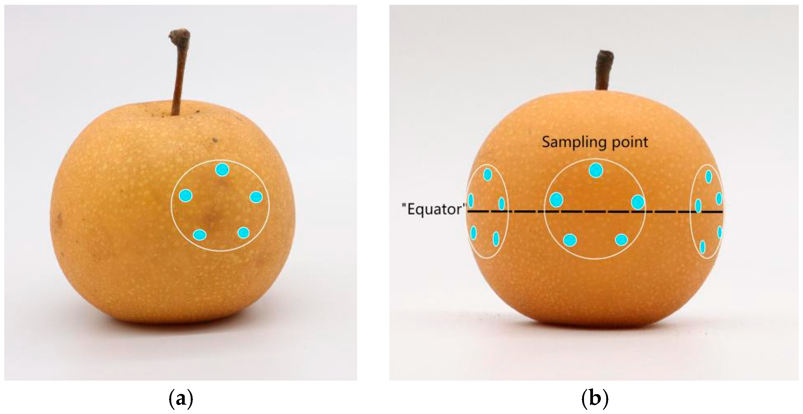 Sensors 24 06324 g003